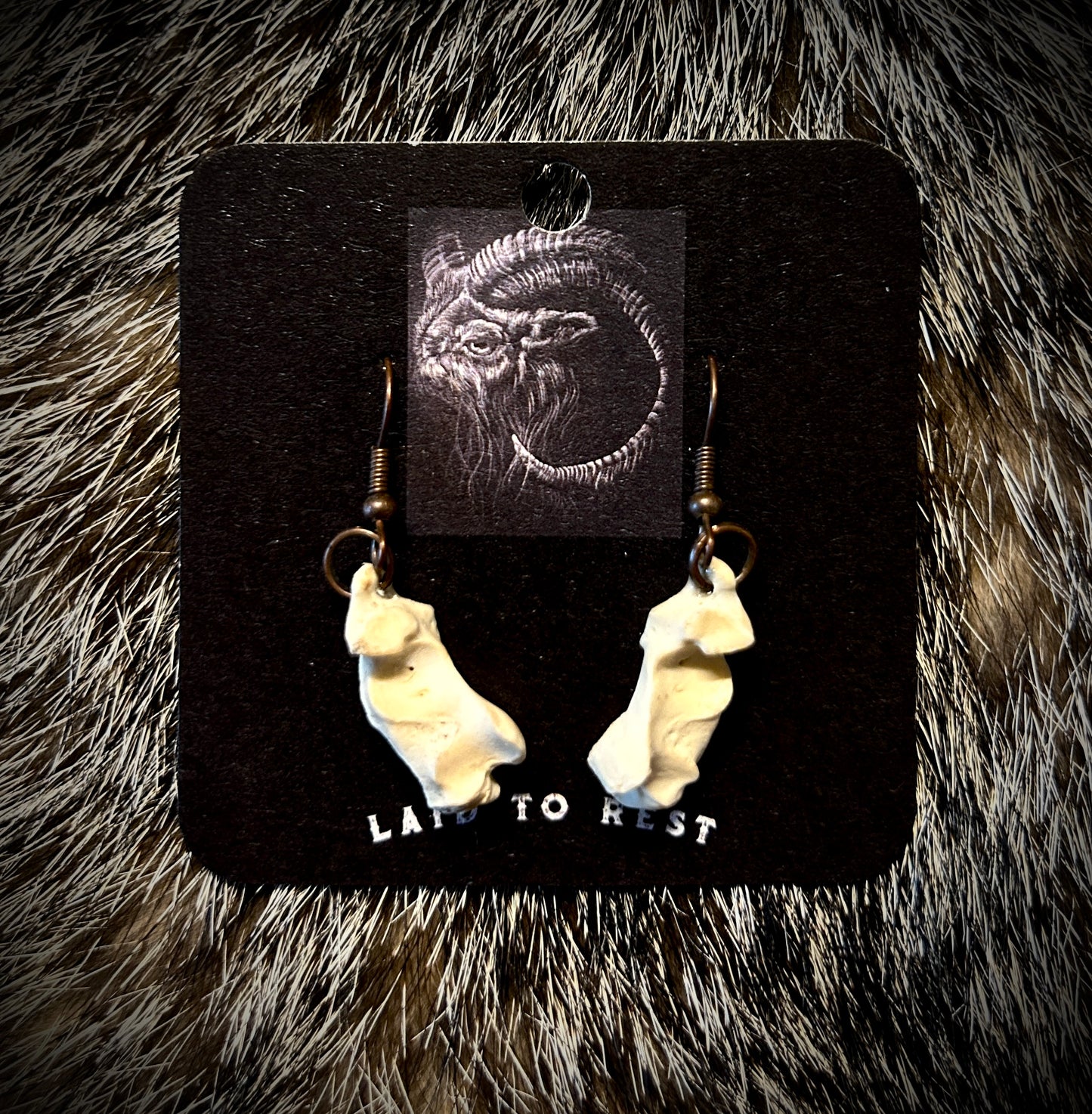 Armadillo Calcaneus earrings