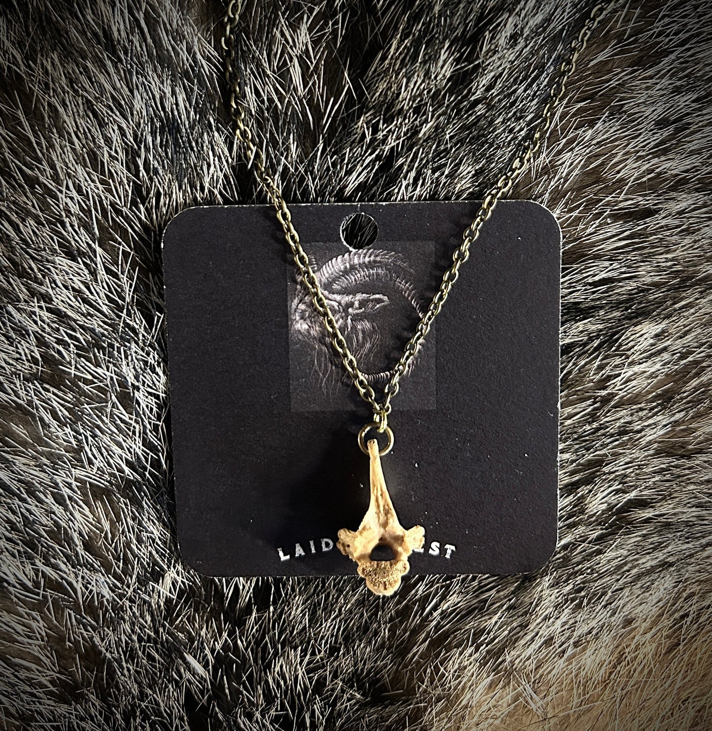 Opossum Vertebrae Necklace