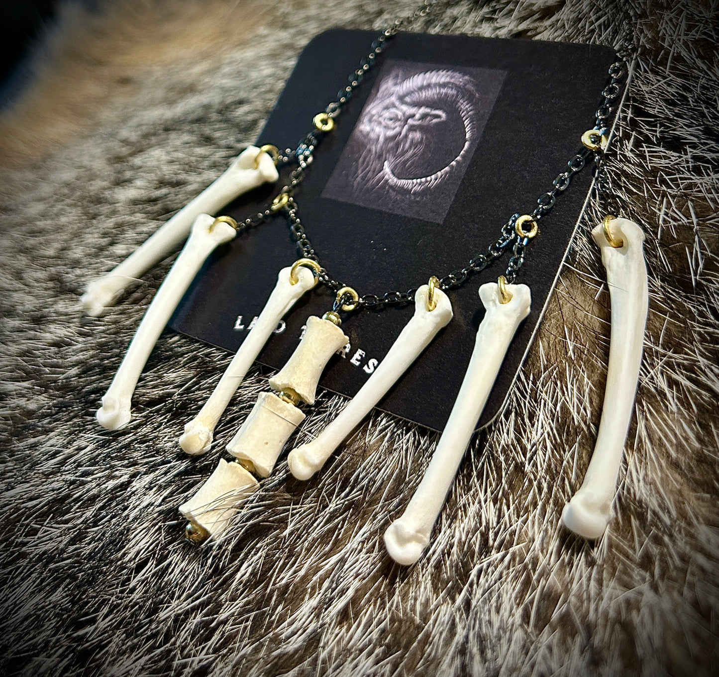 Raccoon Phalanges & Tailbones Necklace