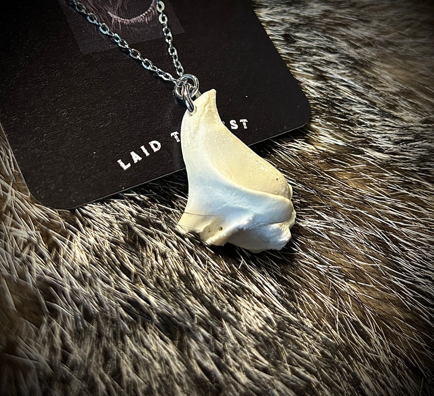 Coyote Skull Fragment Pendant