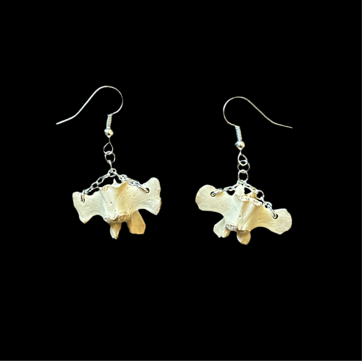 Raccoon Vertebrae Earrings