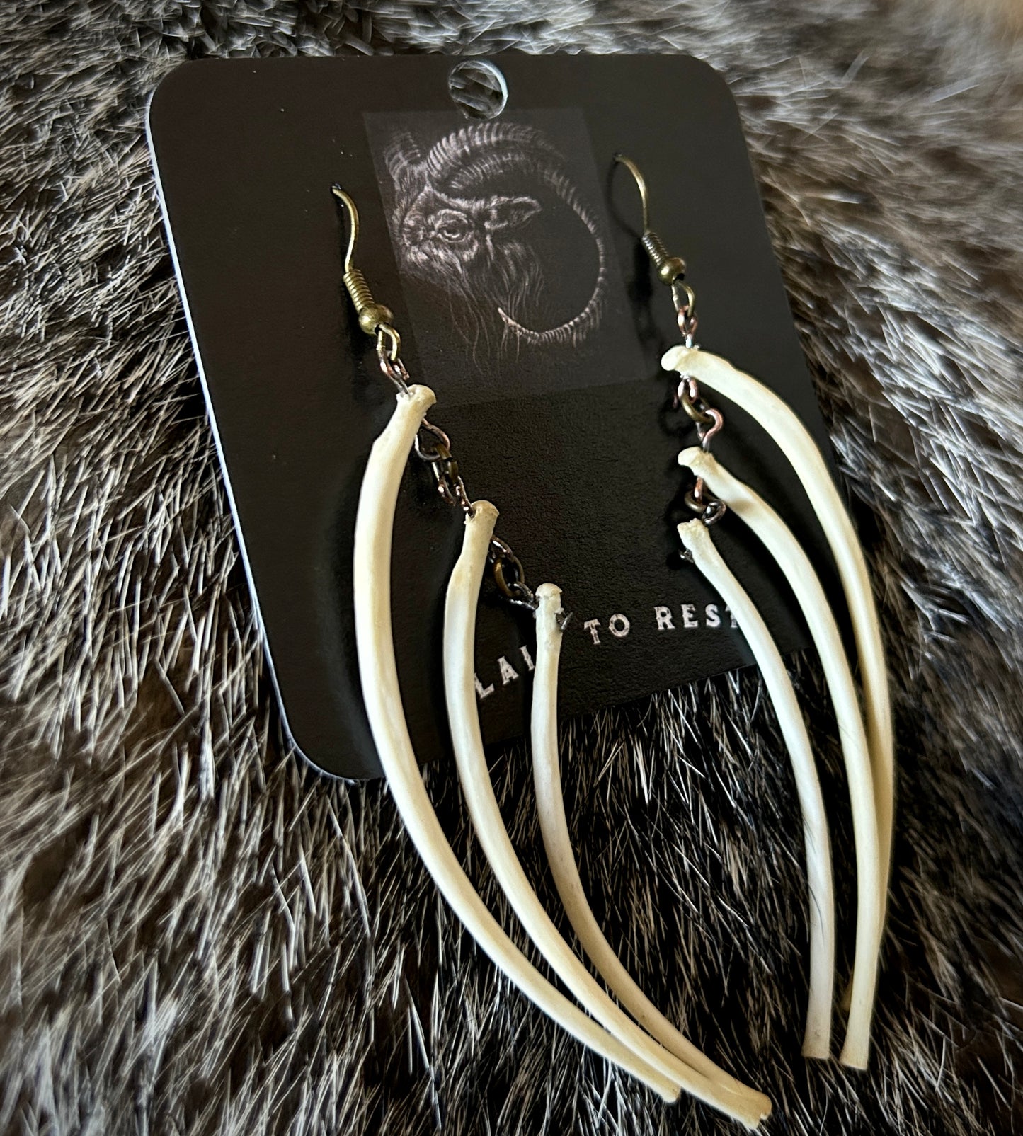 Fox Ribs Earrings