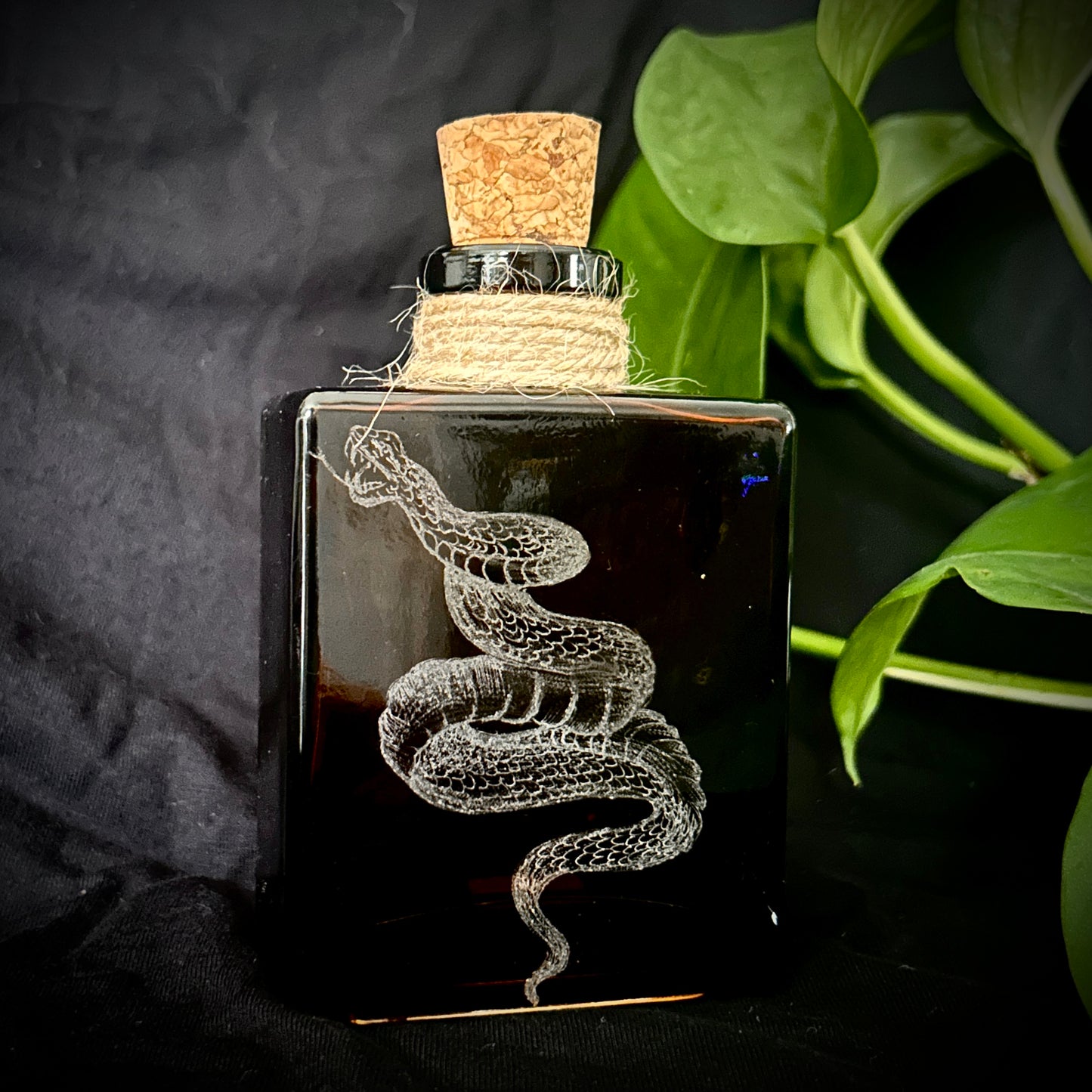 Double Sided Snake Hand-etched Bottle