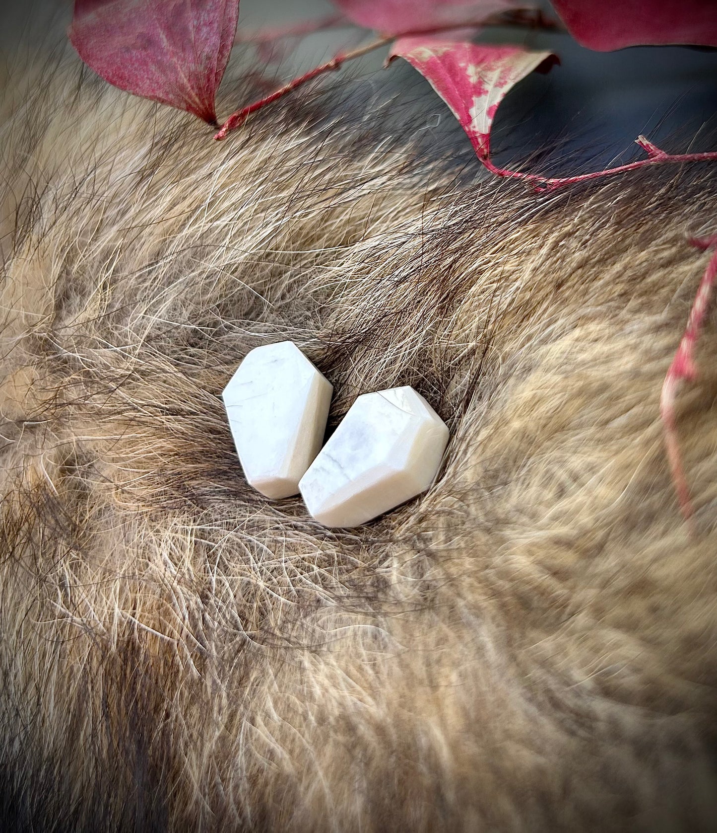 Bone Coffin Studs