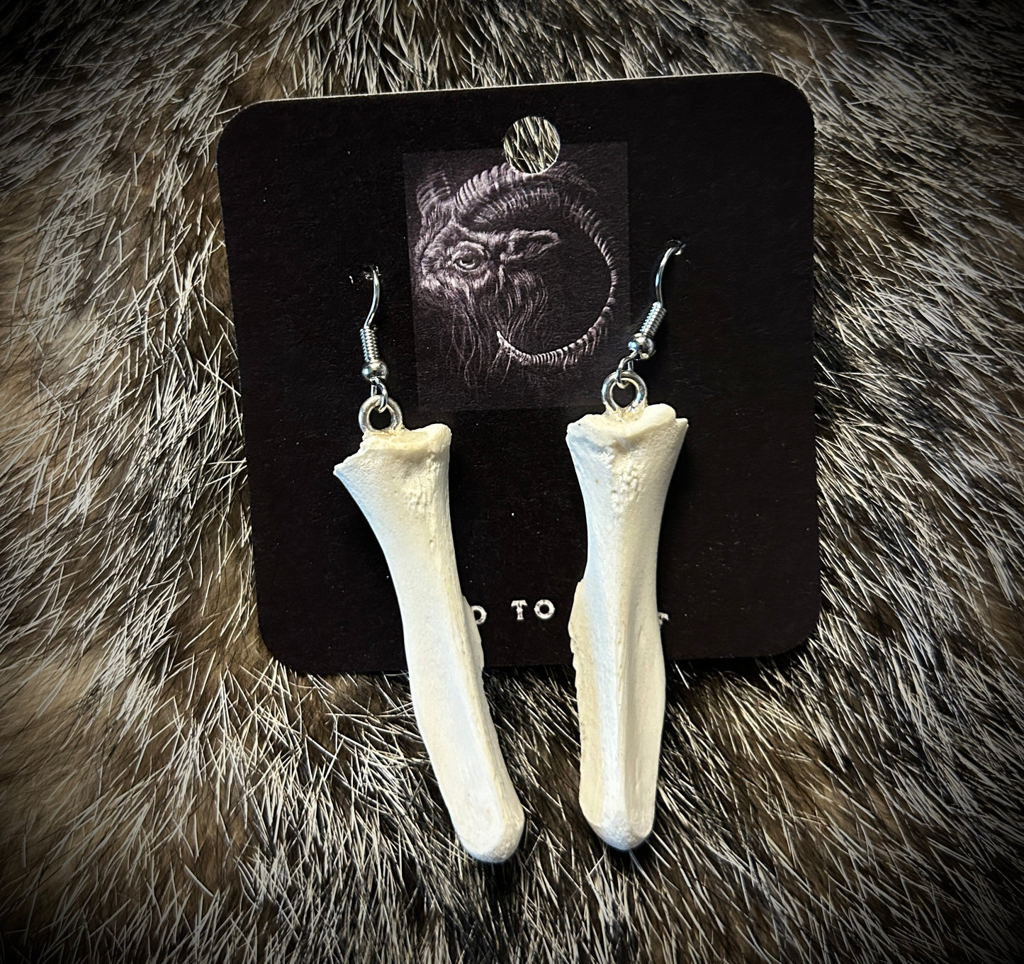 Possum Pelvic Bone Earrings