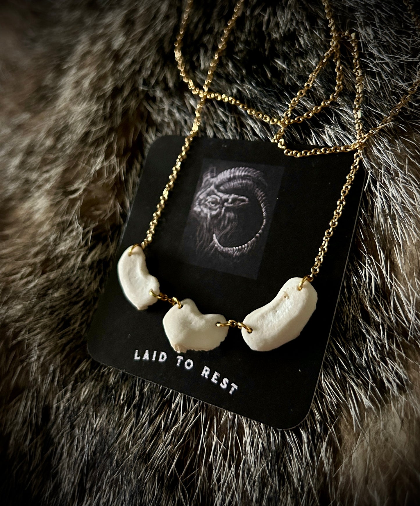 Coyote Patella Necklace