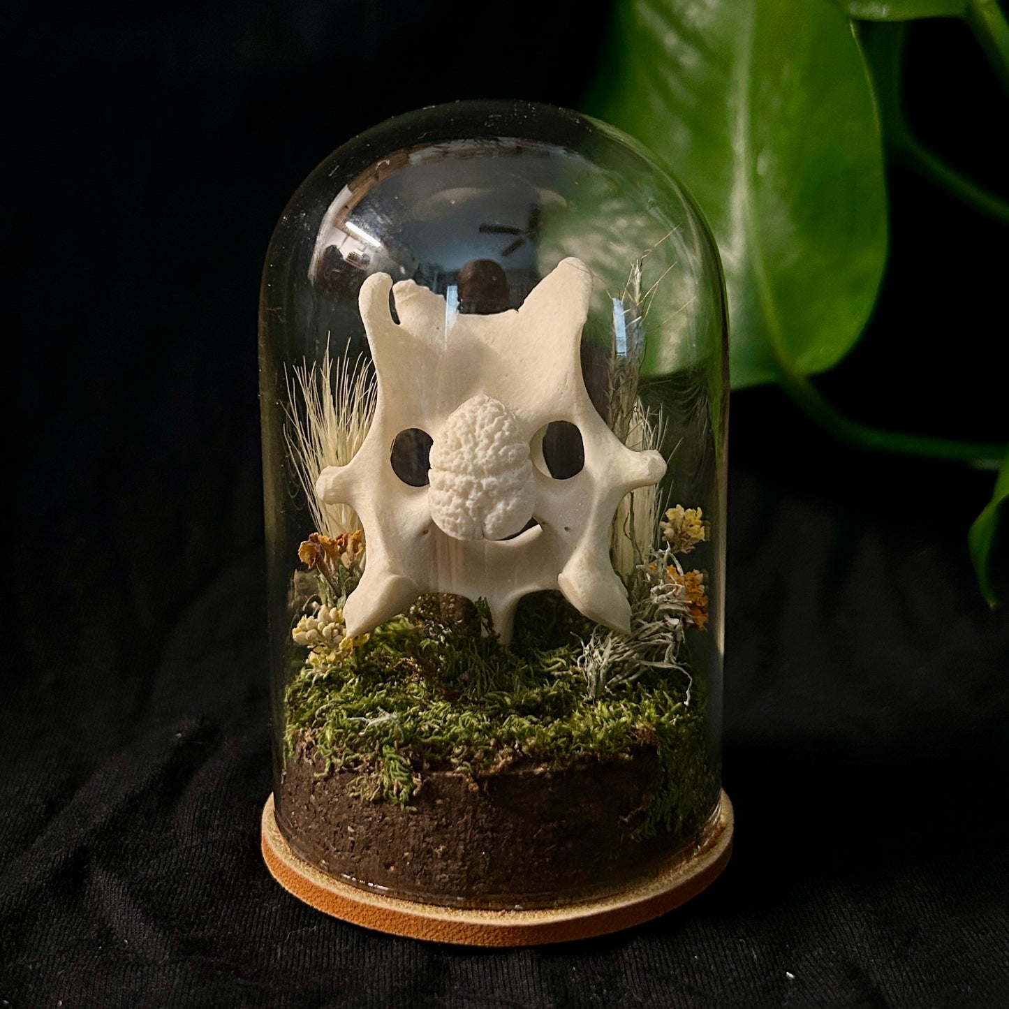 Deer Vertebrae Cloche