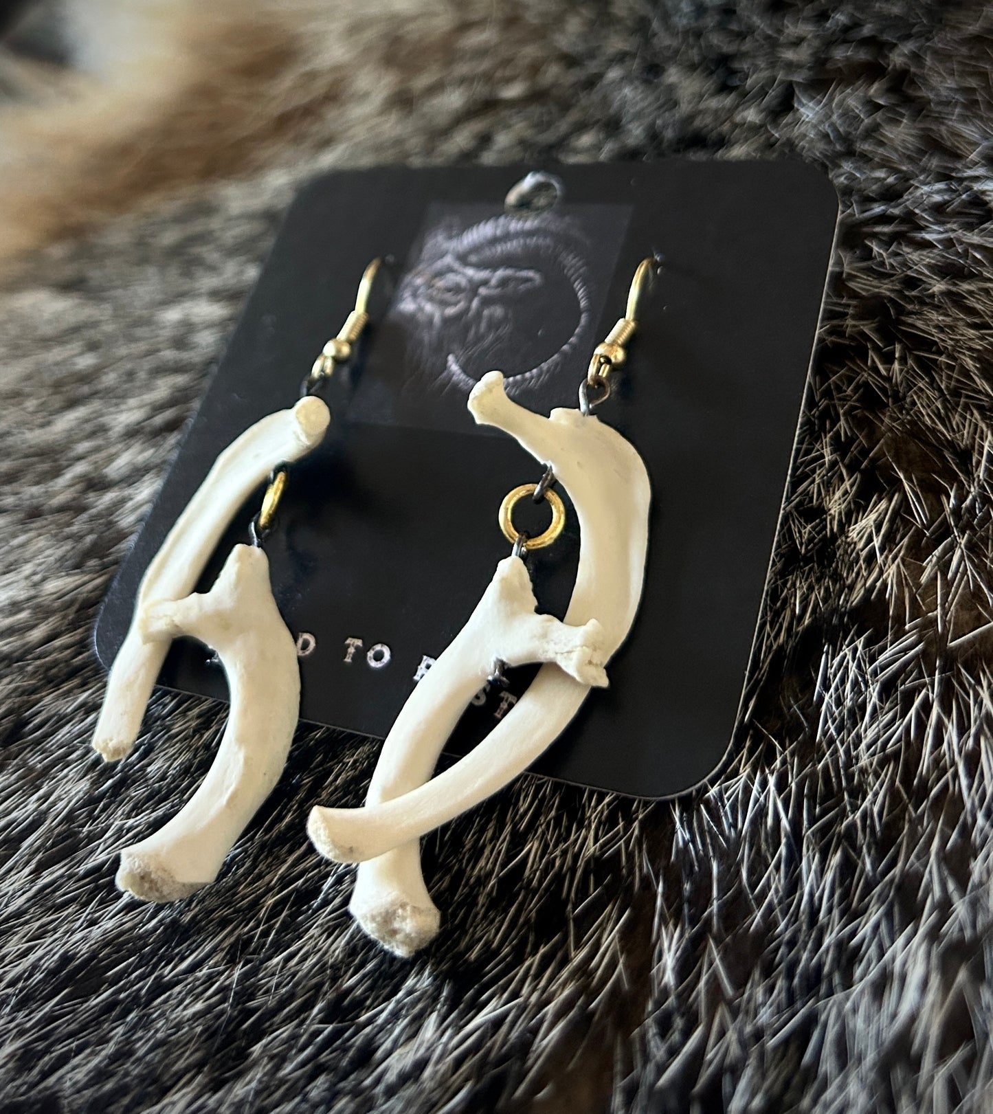 Porcupine Ribs Earrings