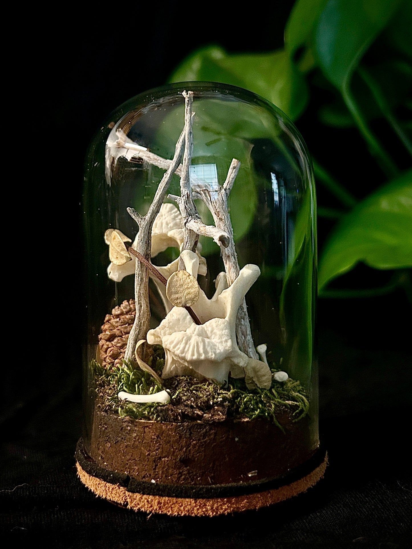 Coyote Vertebrae & Phalanges Cloche