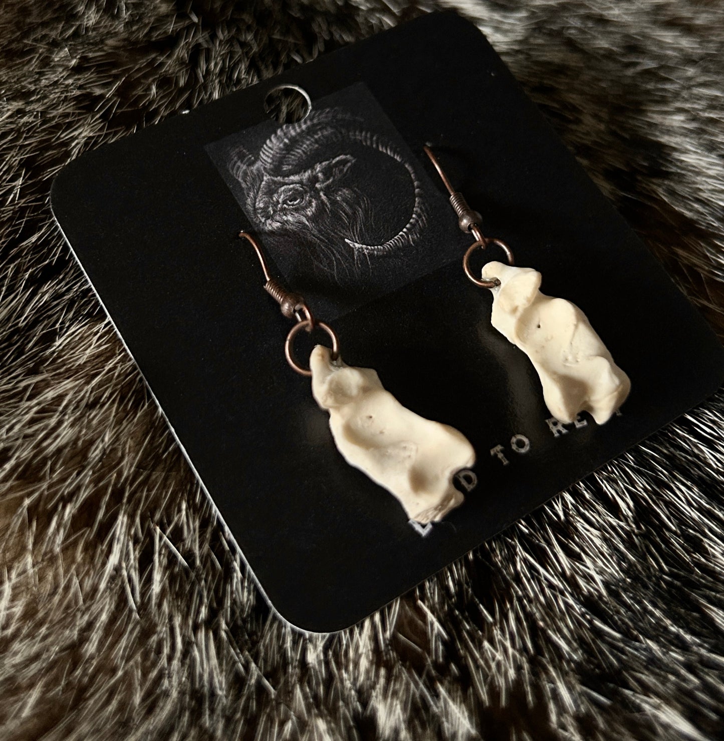 Armadillo Calcaneus earrings