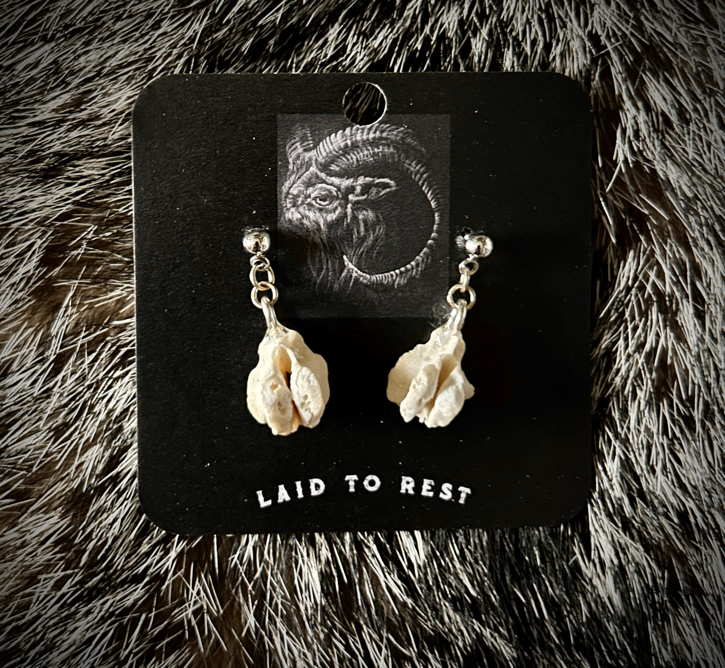 Porcupine Vertebrae earrings