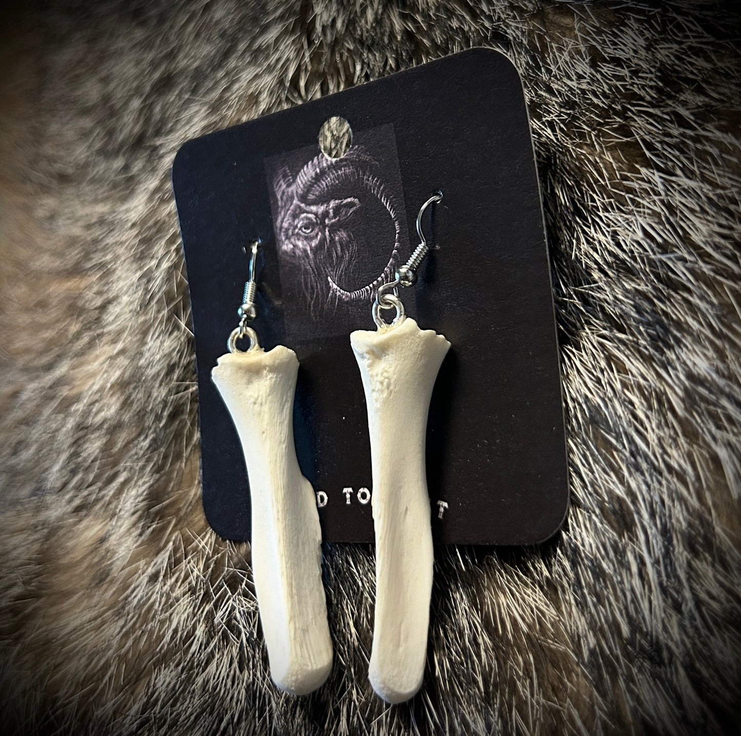 Possum Pelvic Bone Earrings