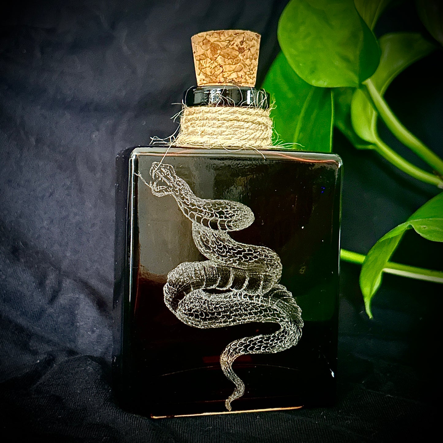 Double Sided Snake Hand-etched Bottle