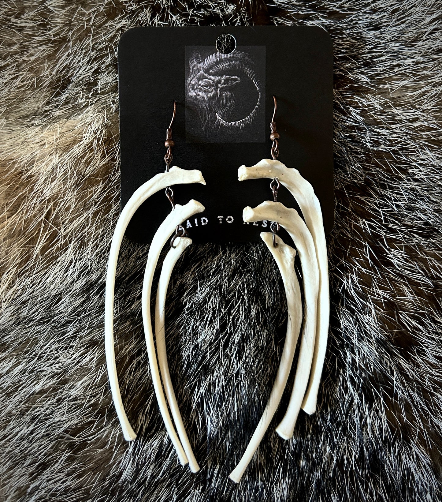 Porcupine Ribs Earrings