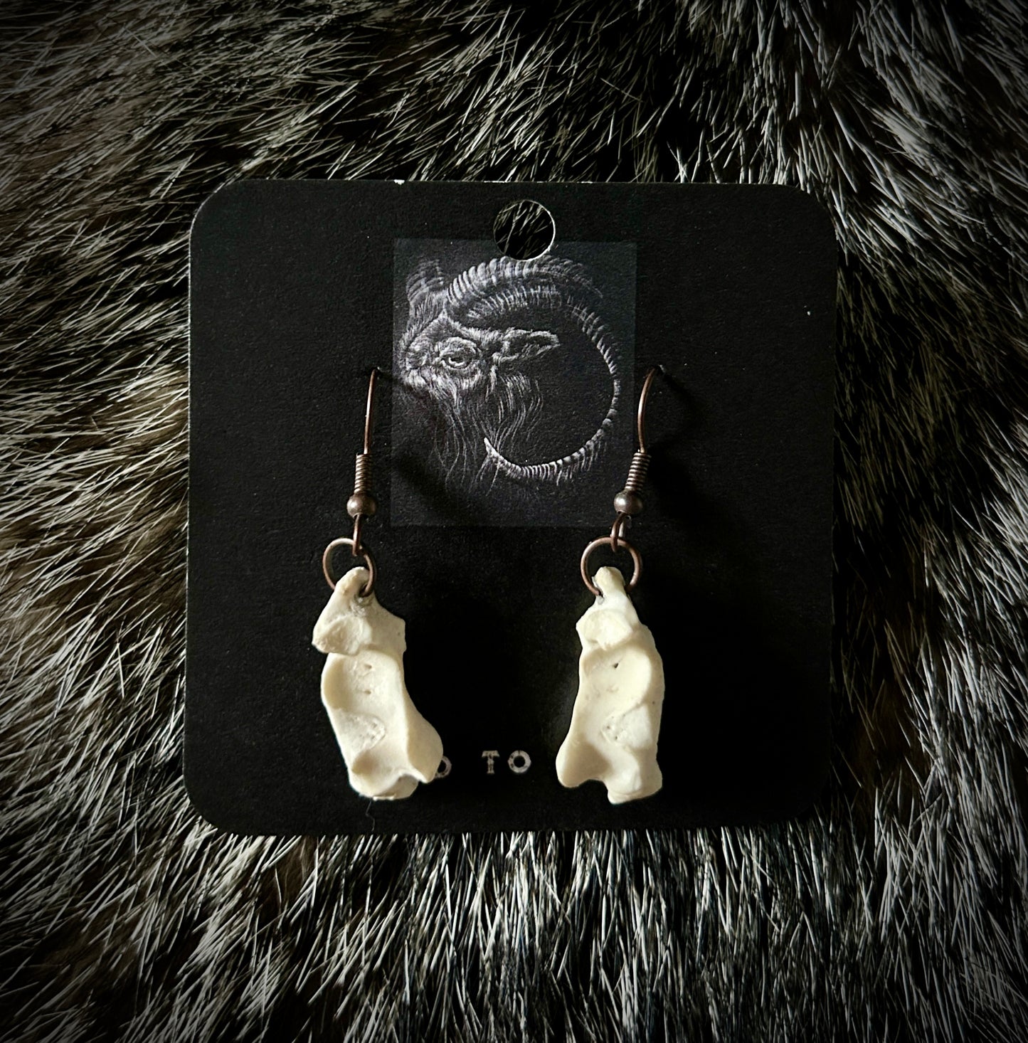 Armadillo Calcaneus earrings