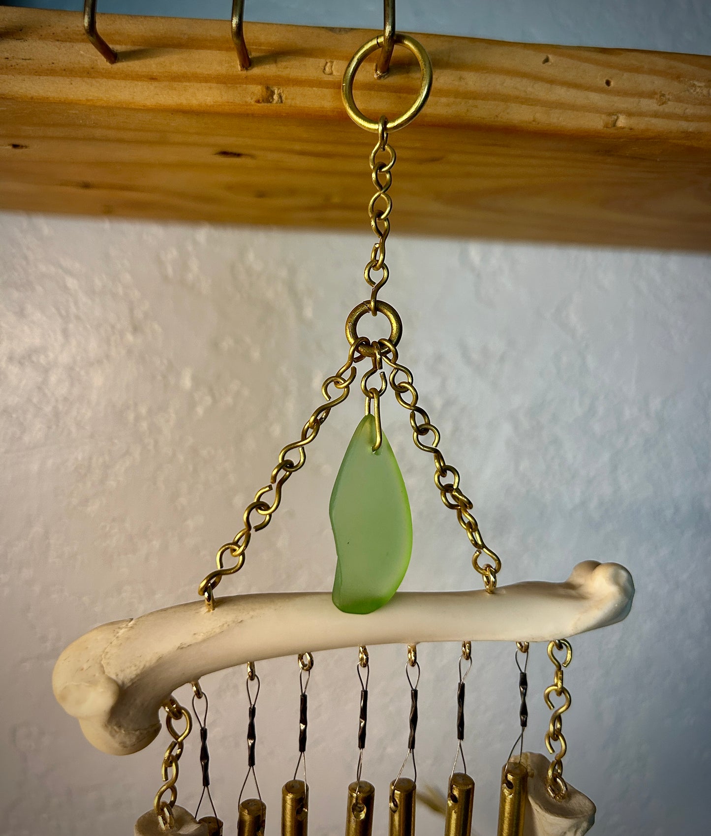 Cat Scapulars & Femur Chime
