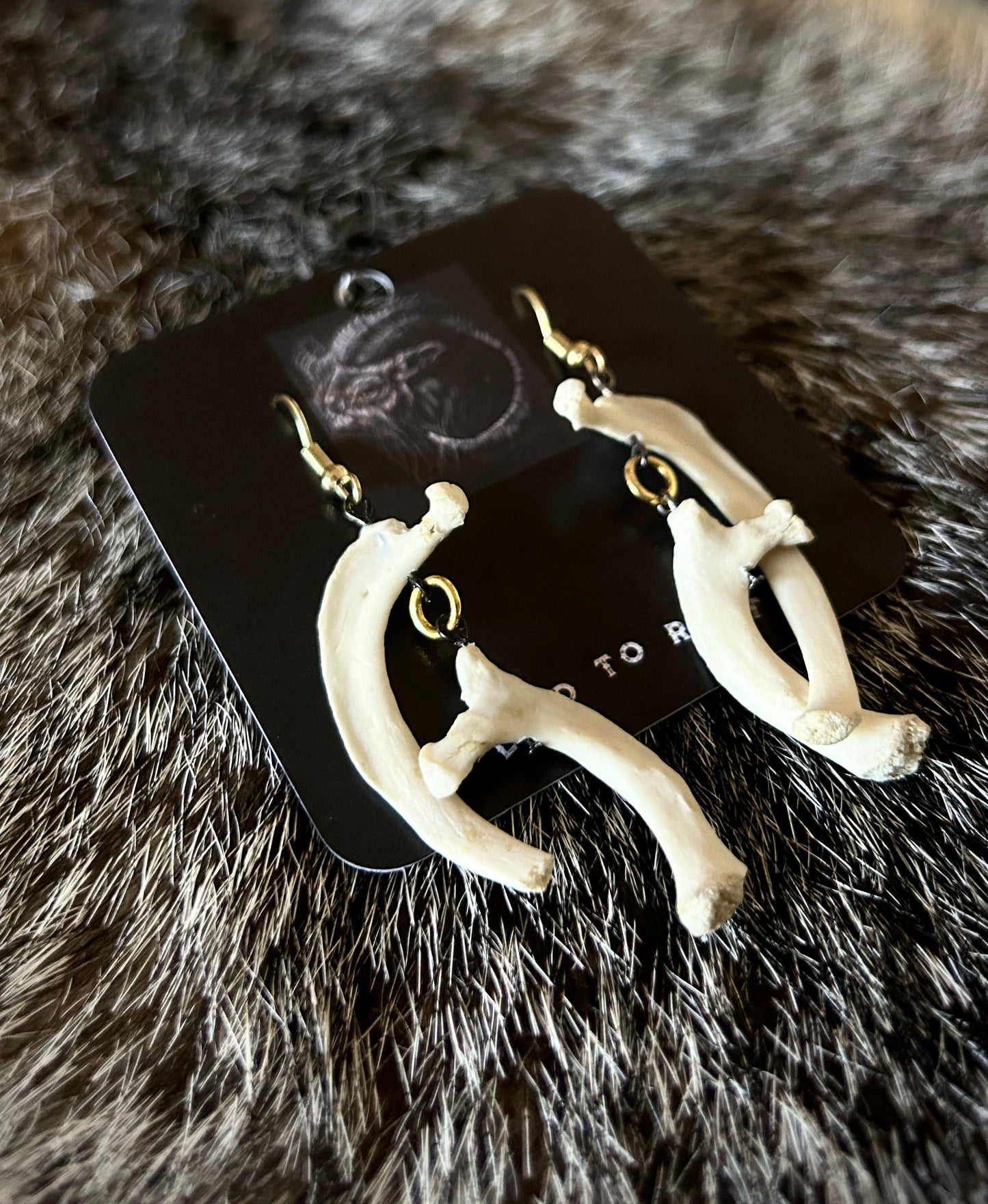 Porcupine Ribs Earrings