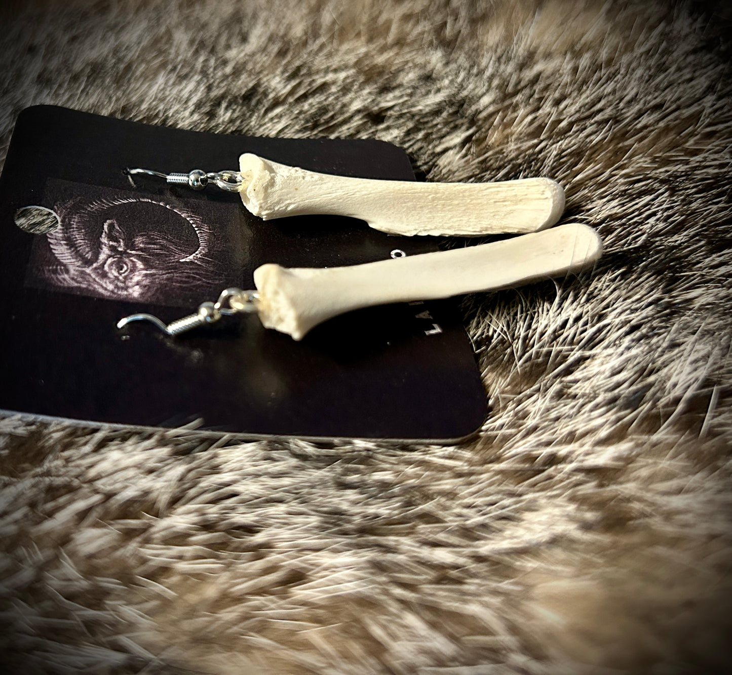Possum Pelvic Bone Earrings