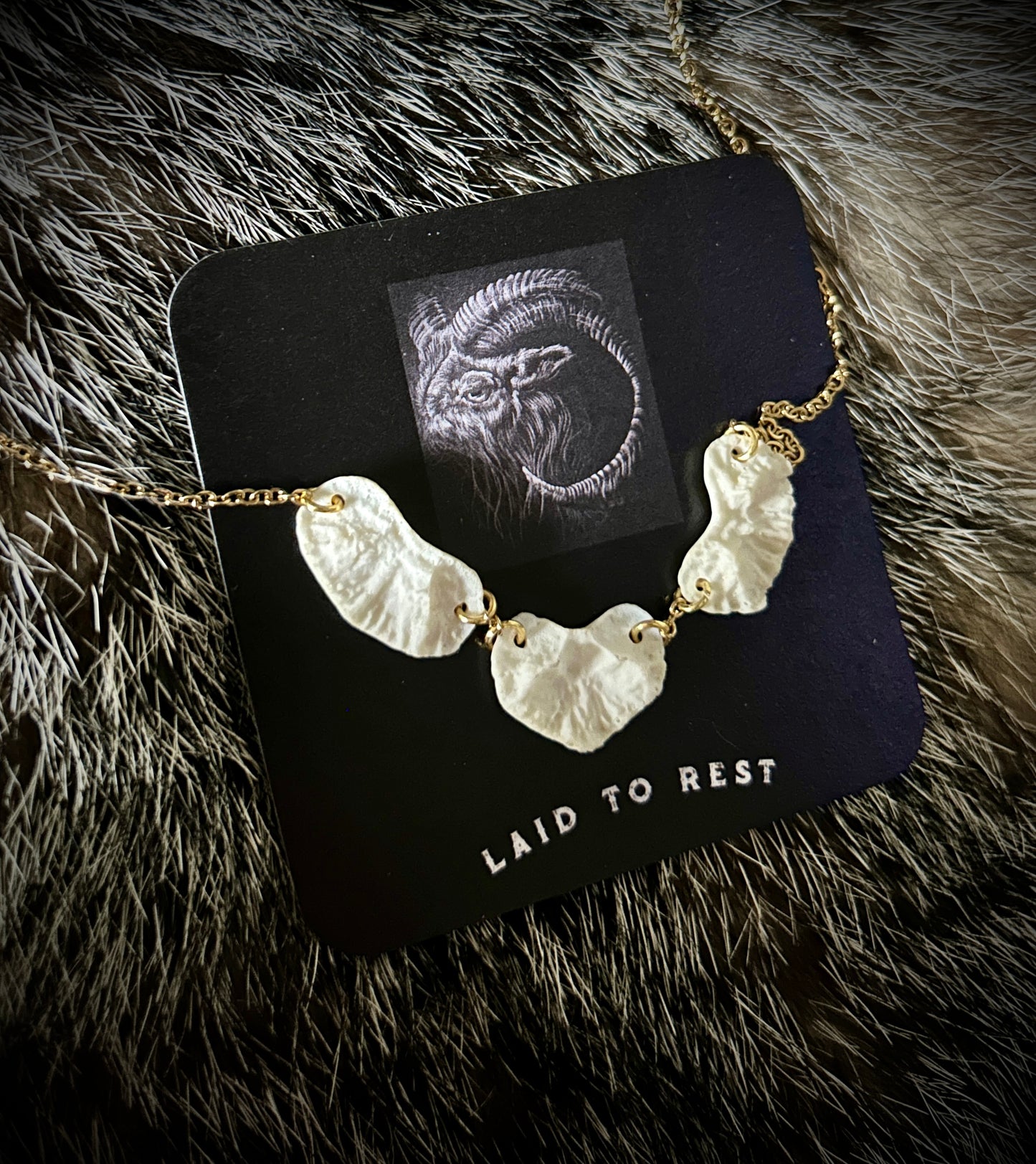 Coyote Patella Necklace