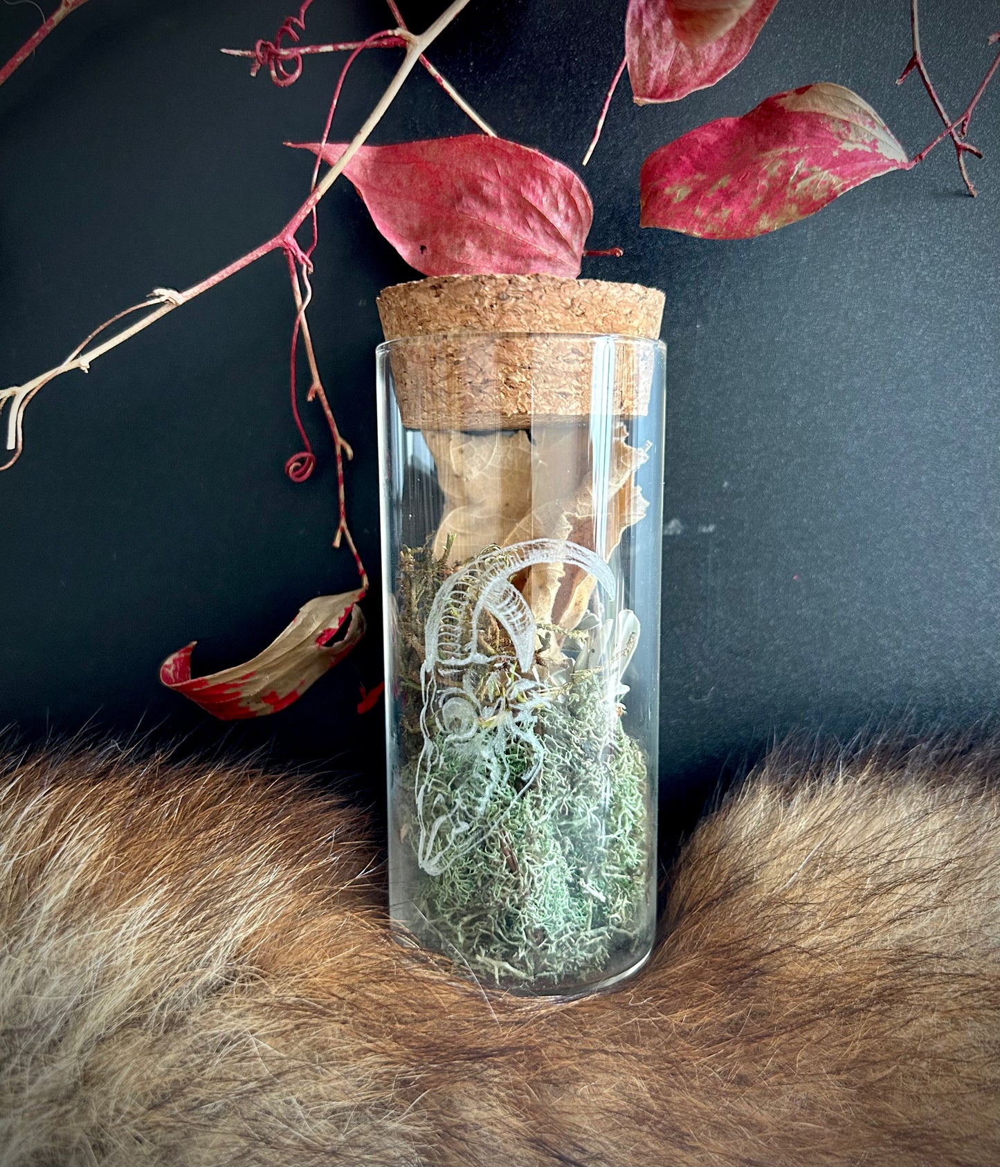 Goat Spirit Curio