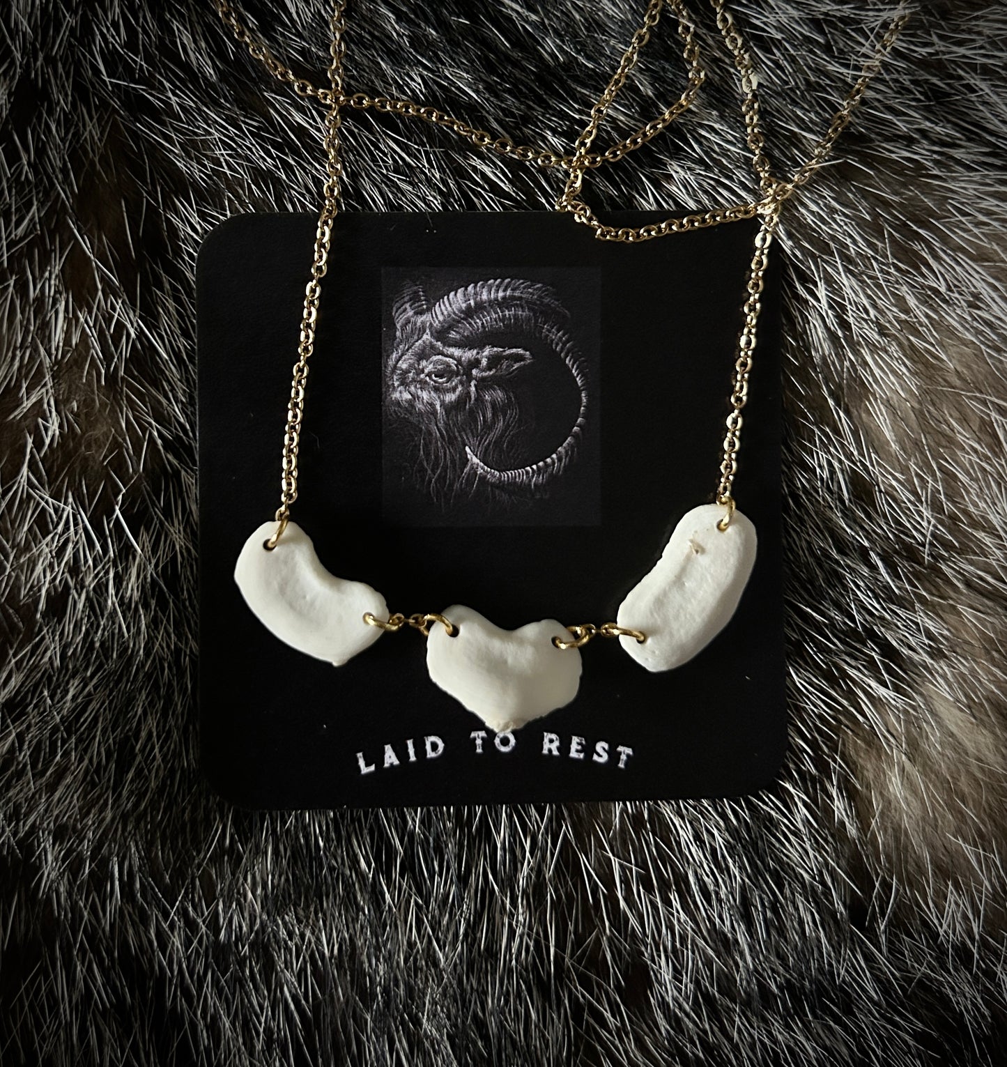Coyote Patella Necklace