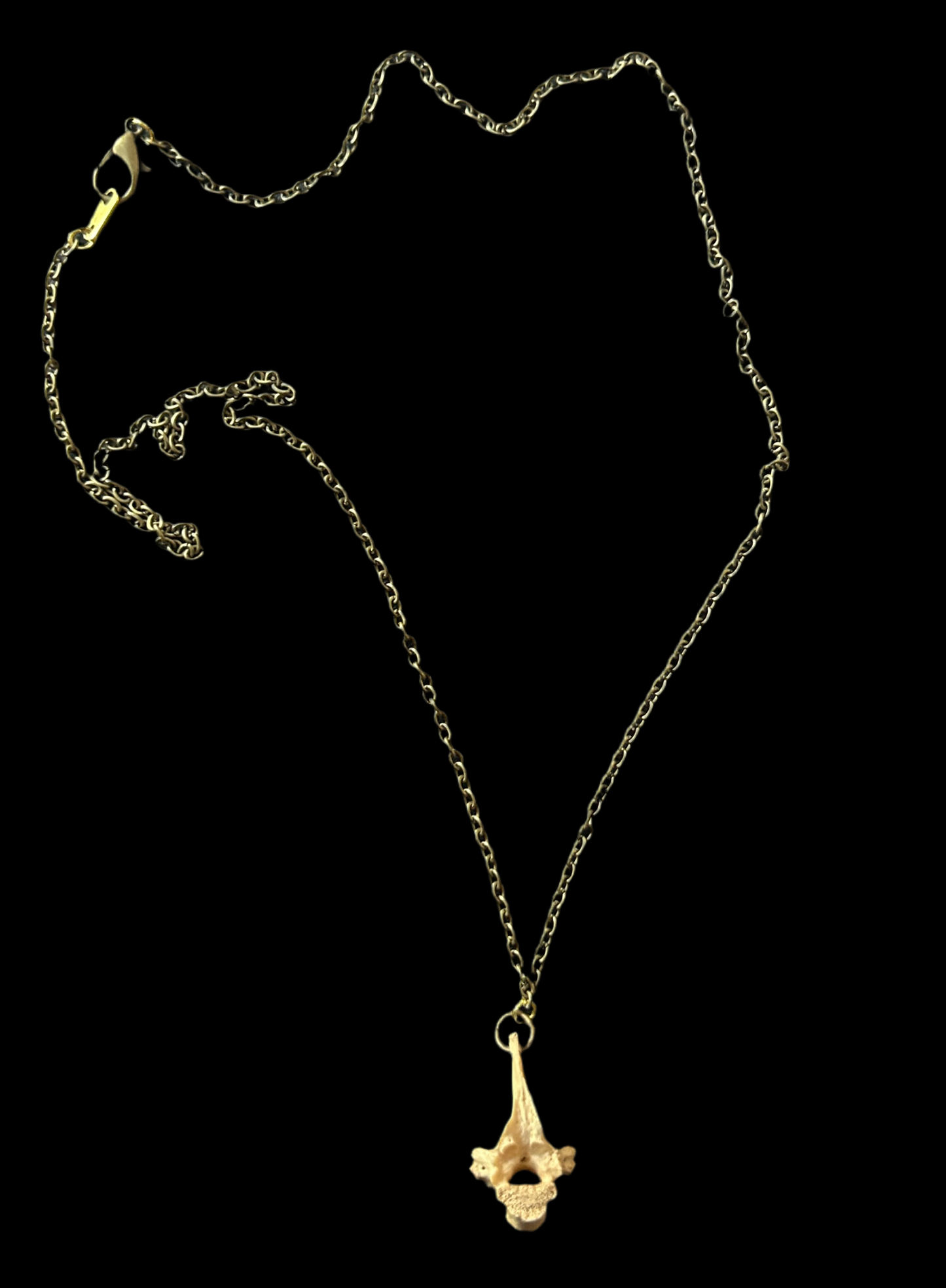 Opossum Vertebrae Necklace