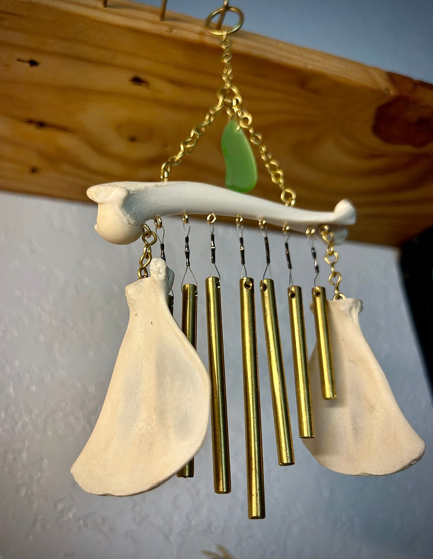 Cat Scapulars & Femur Chime