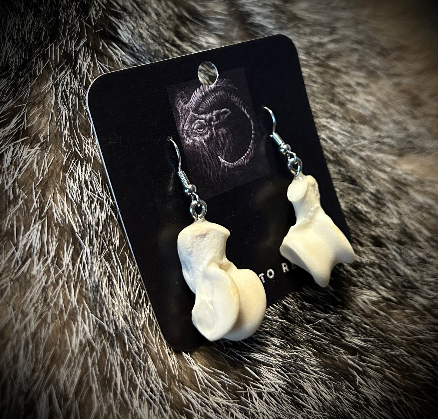 Raccoon Calcaneus Earrings