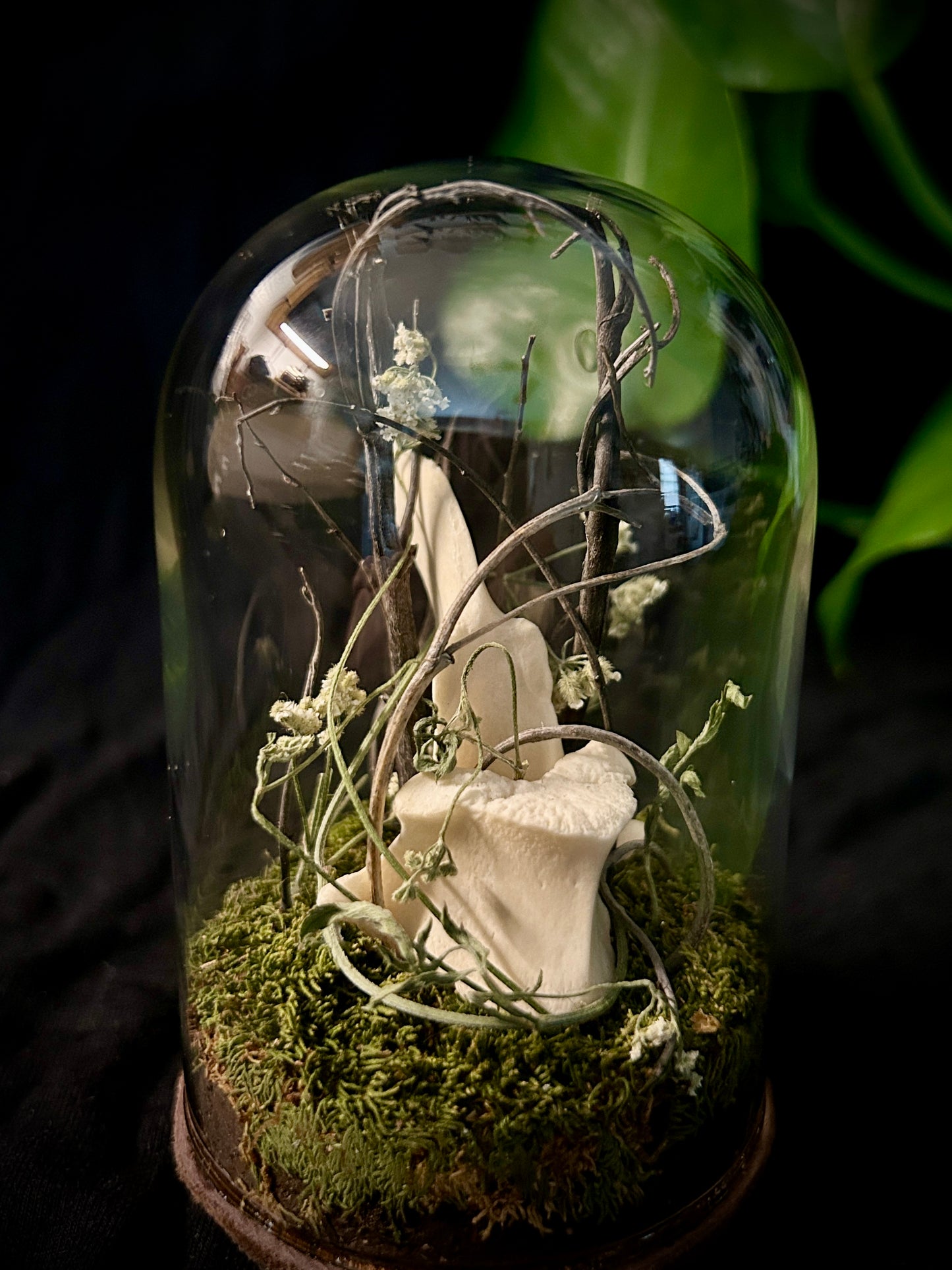 Deer Vertebrae Cloche