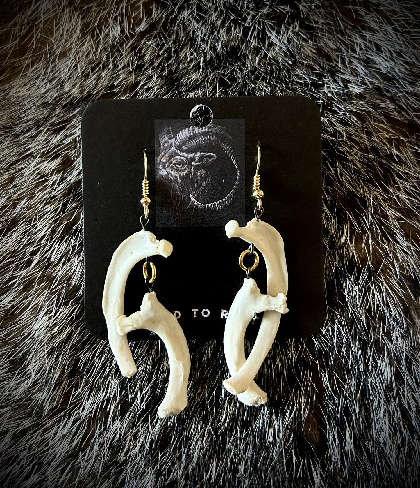 Porcupine Ribs Earrings