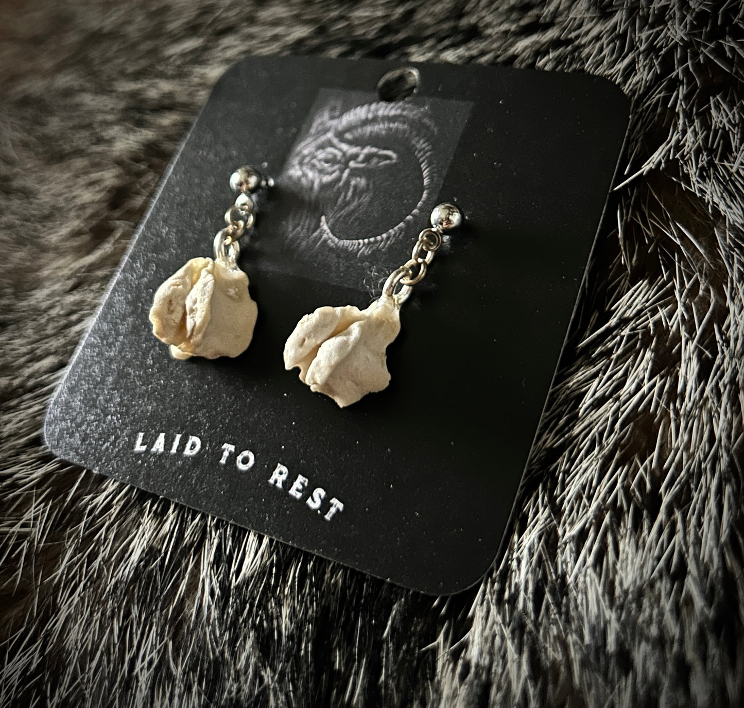 Porcupine Vertebrae earrings