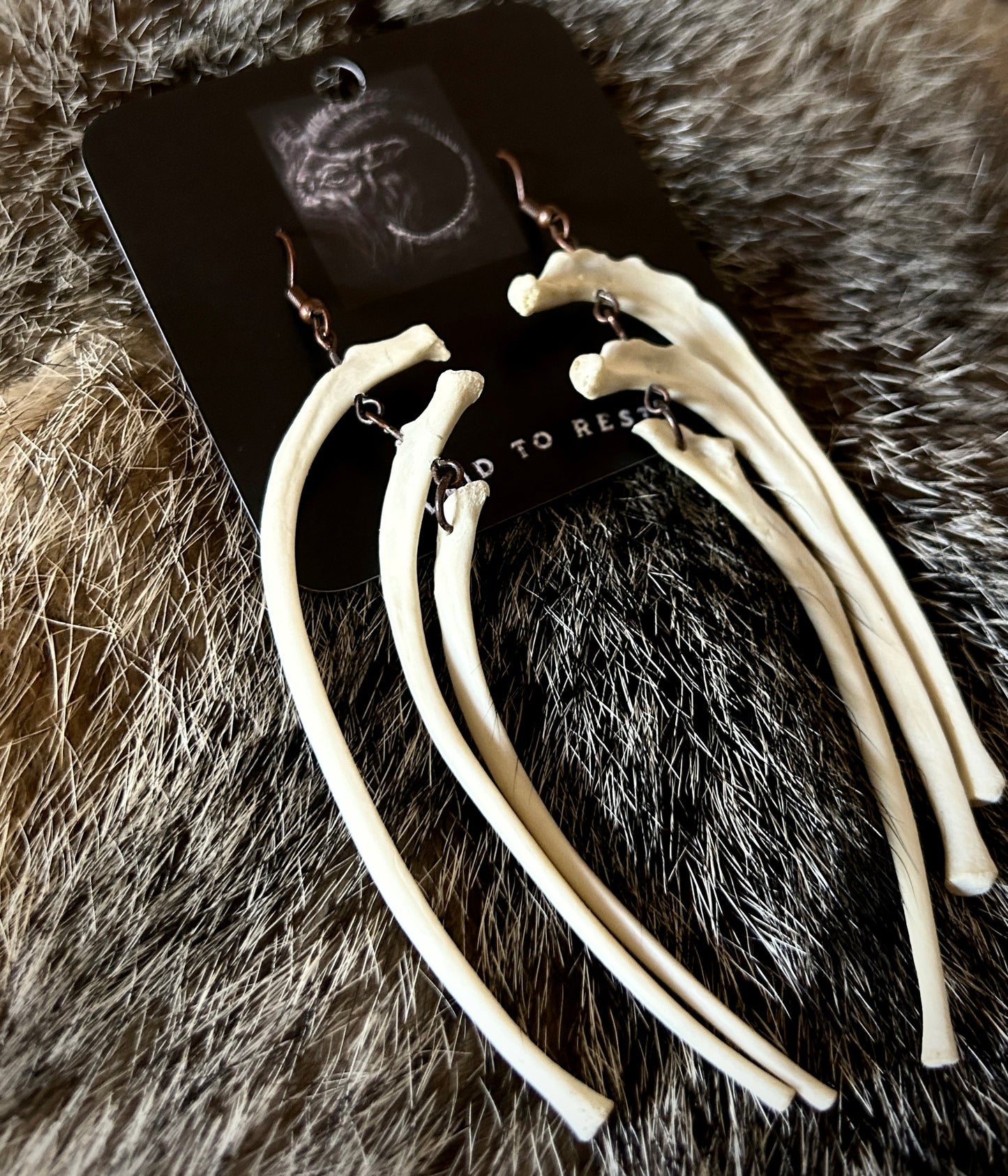 Porcupine Ribs Earrings