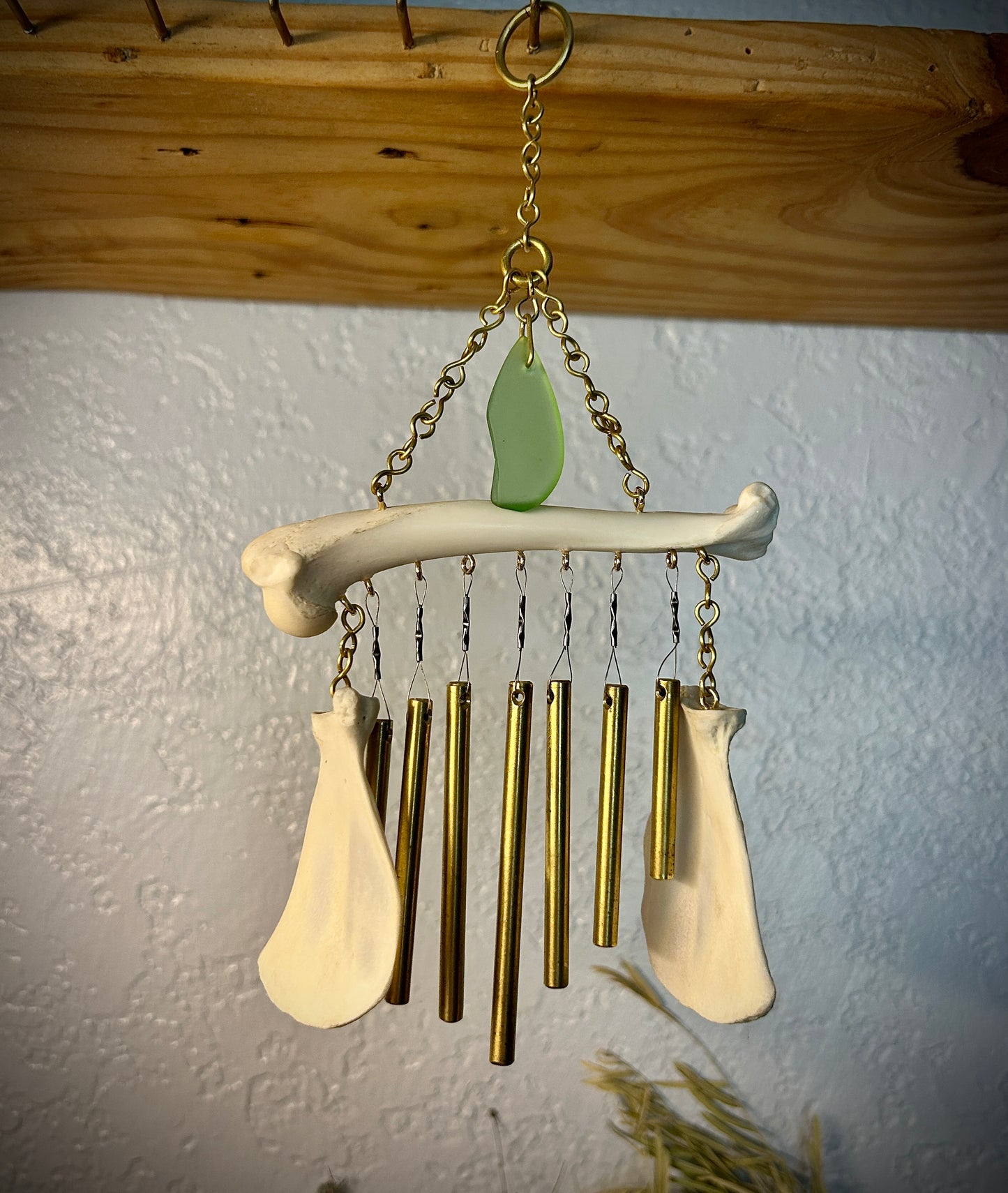 Cat Scapulars & Femur Chime