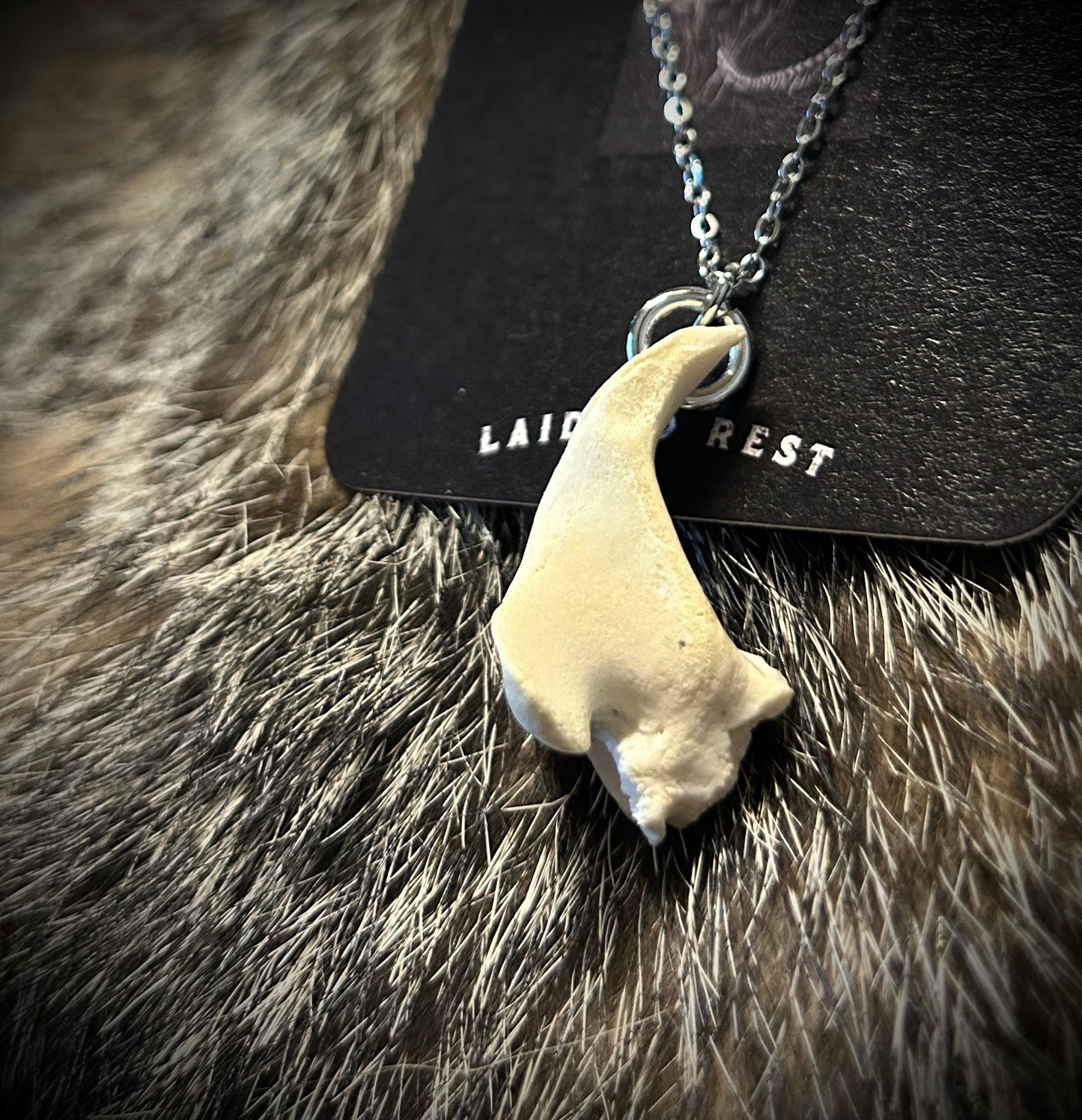 Coyote Skull Fragment Pendant