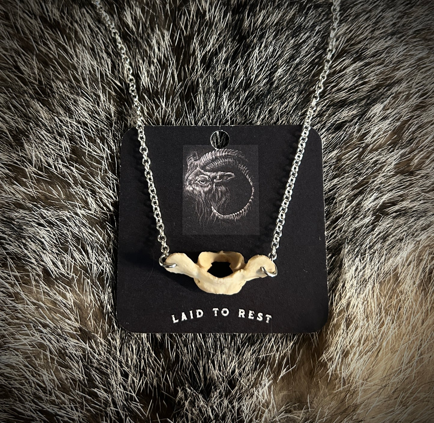 Opossum Atlas Bone Necklace