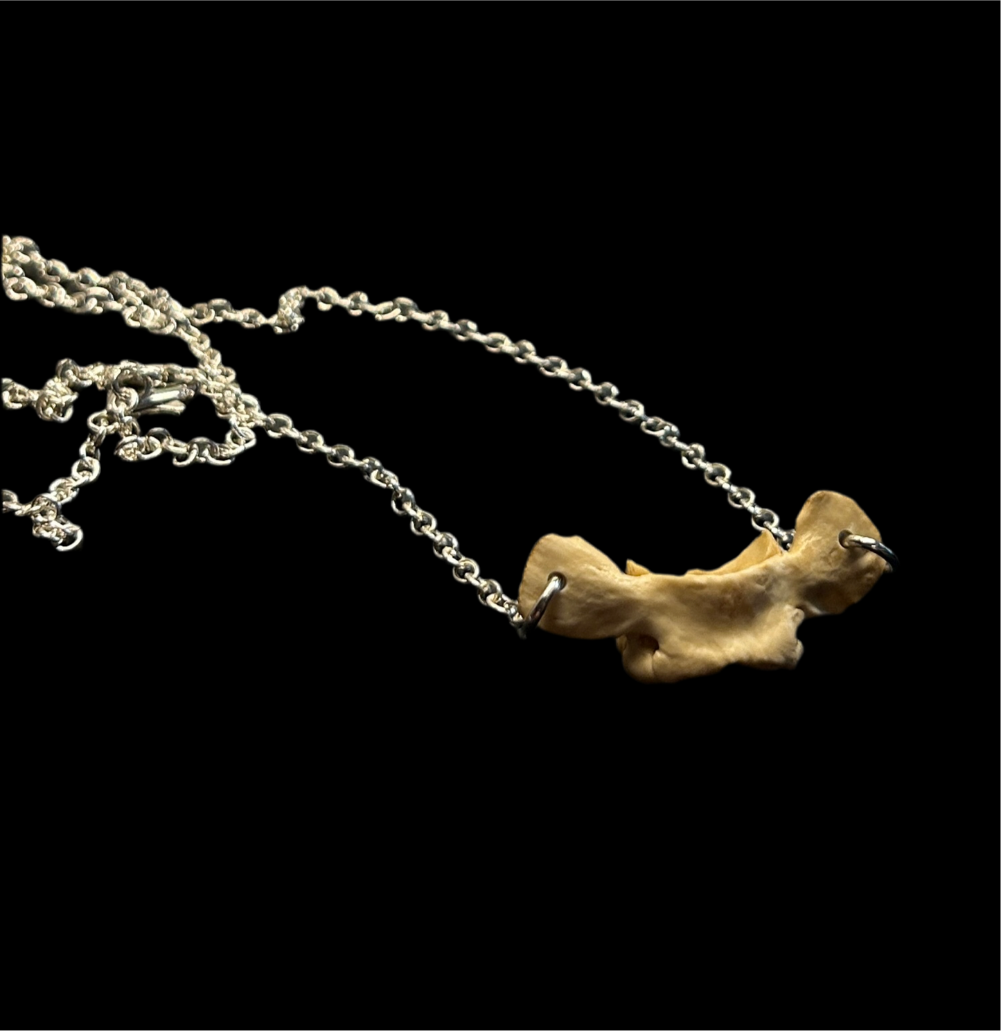 Opossum Atlas Bone Necklace