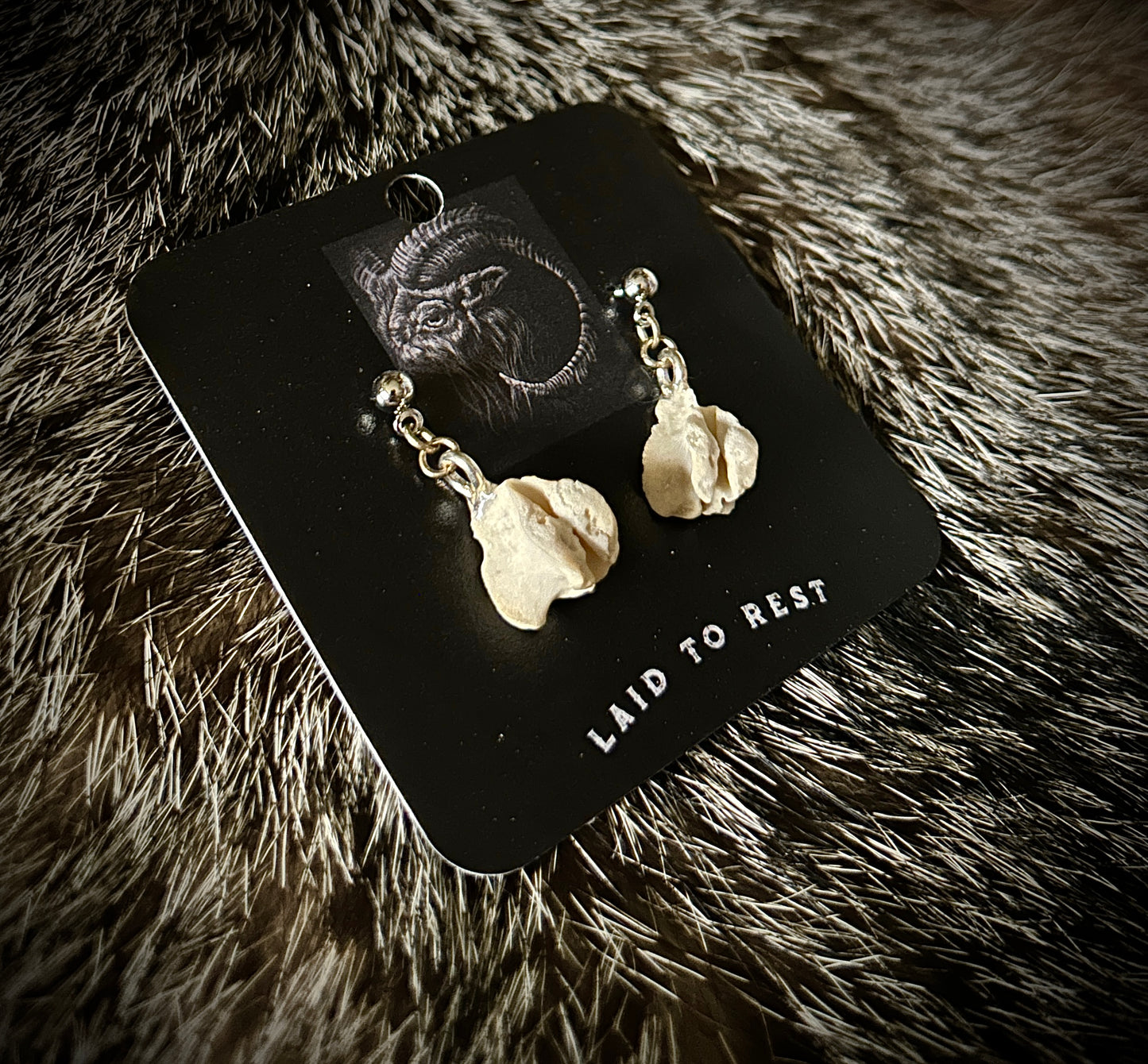 Porcupine Vertebrae earrings