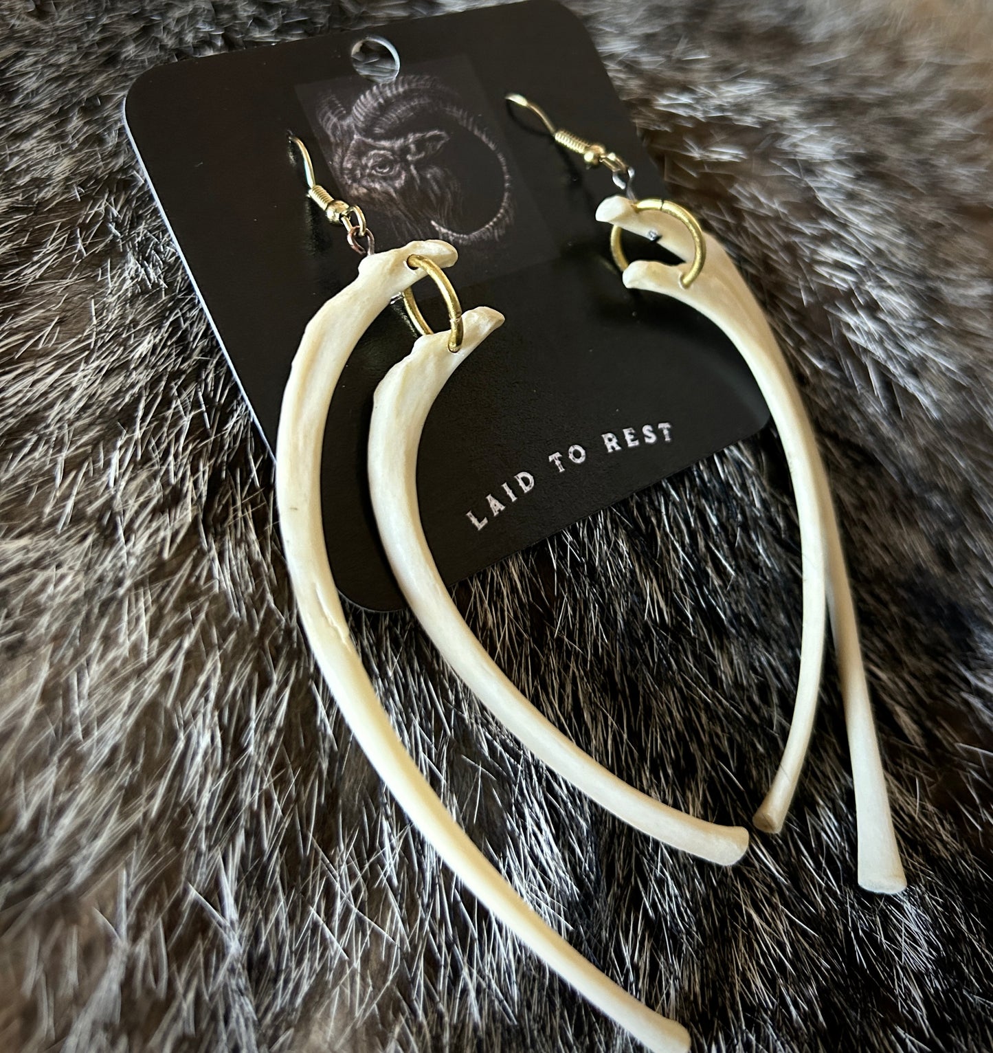 Raccoon Ribs Earrings