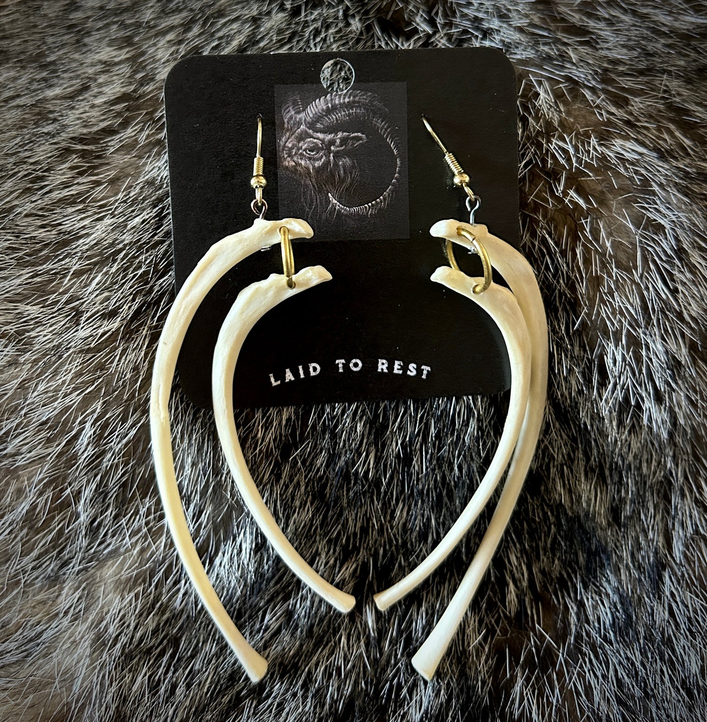 Raccoon Ribs Earrings