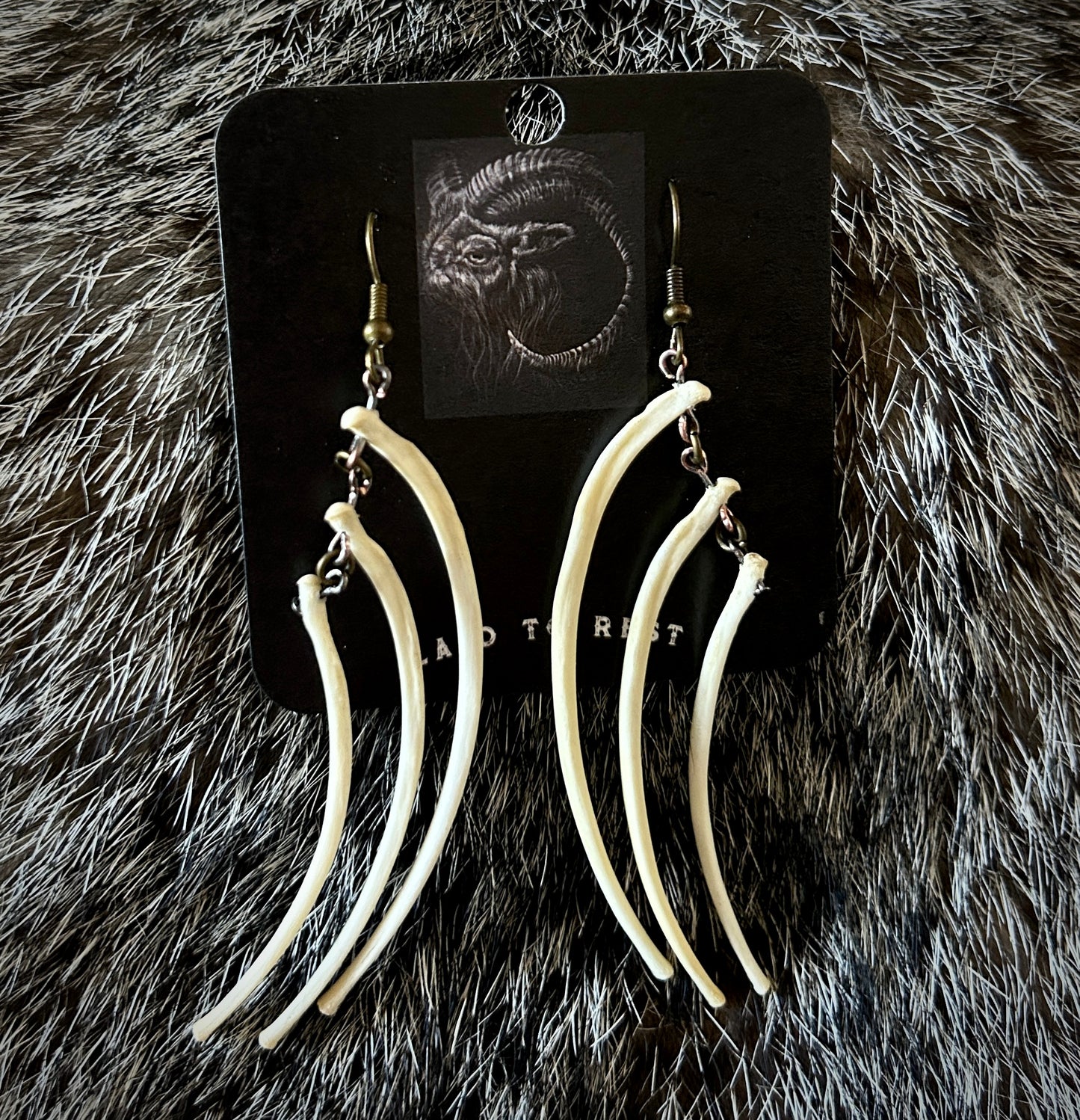 Fox Ribs Earrings