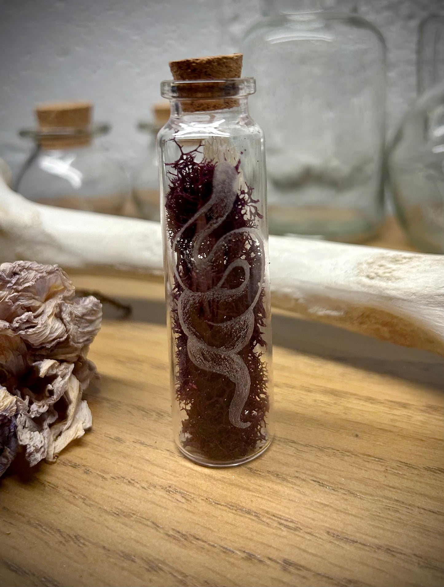 Snake Spirit Curio