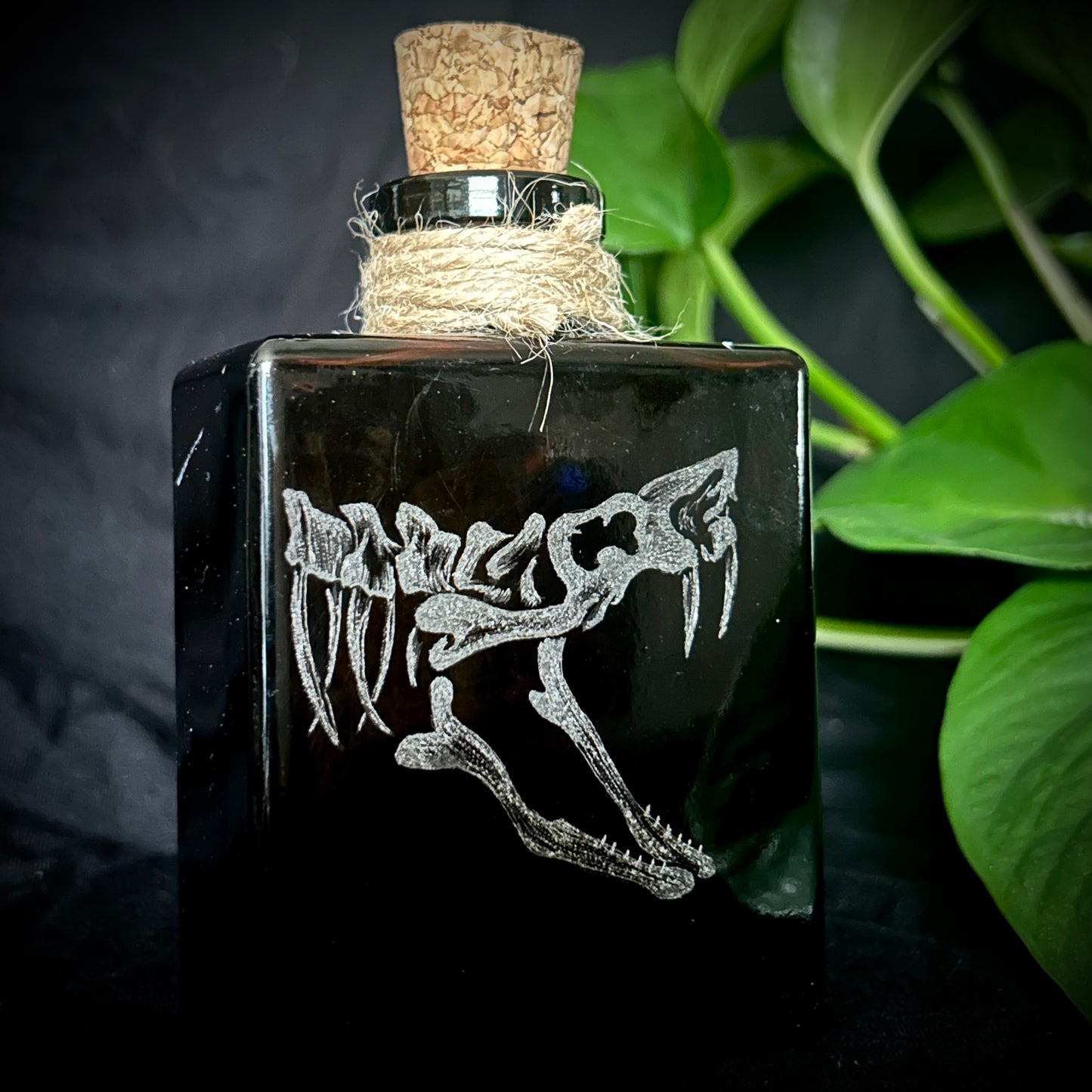 Double Sided Snake Hand-etched Bottle