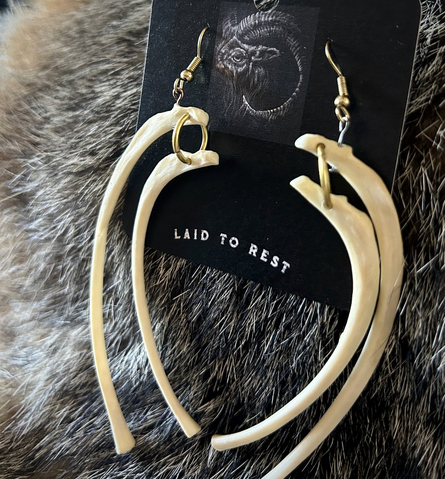 Raccoon Ribs Earrings