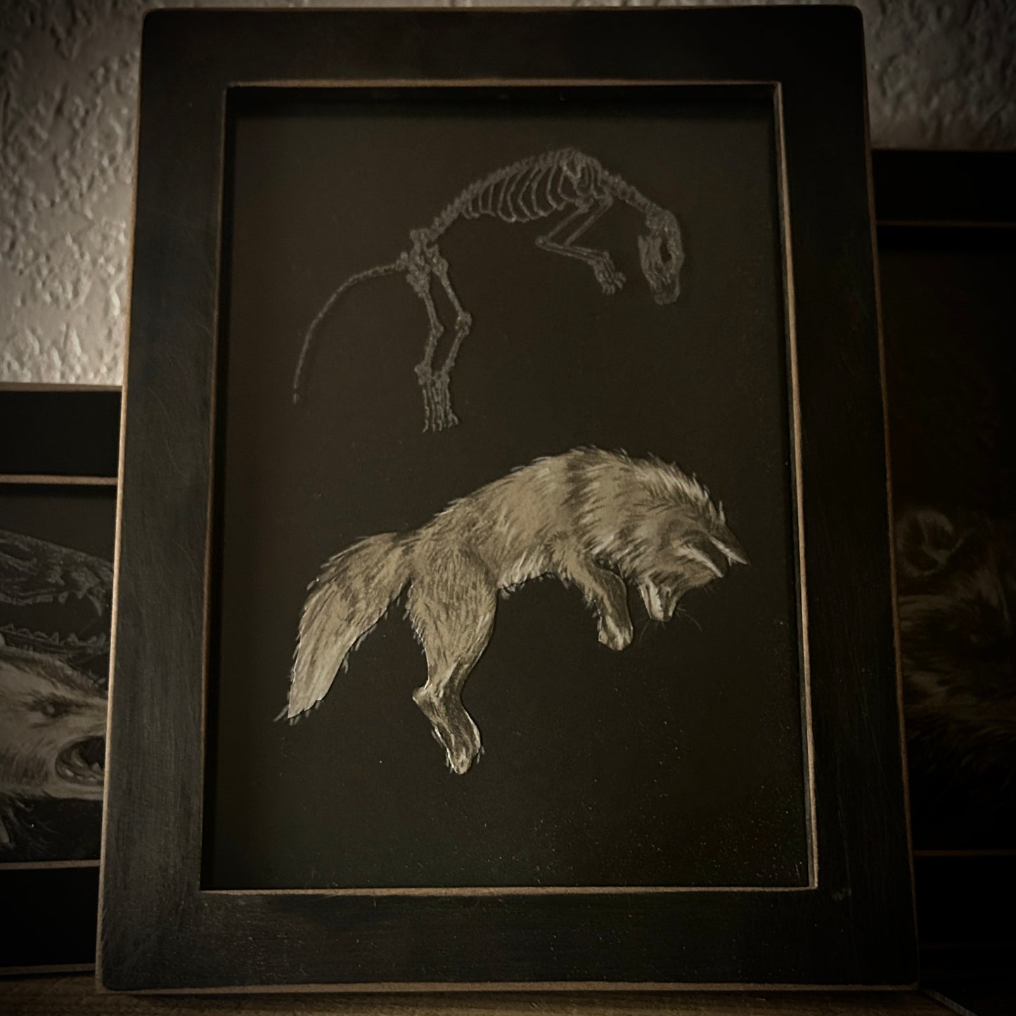 Animals - Framed Etchings