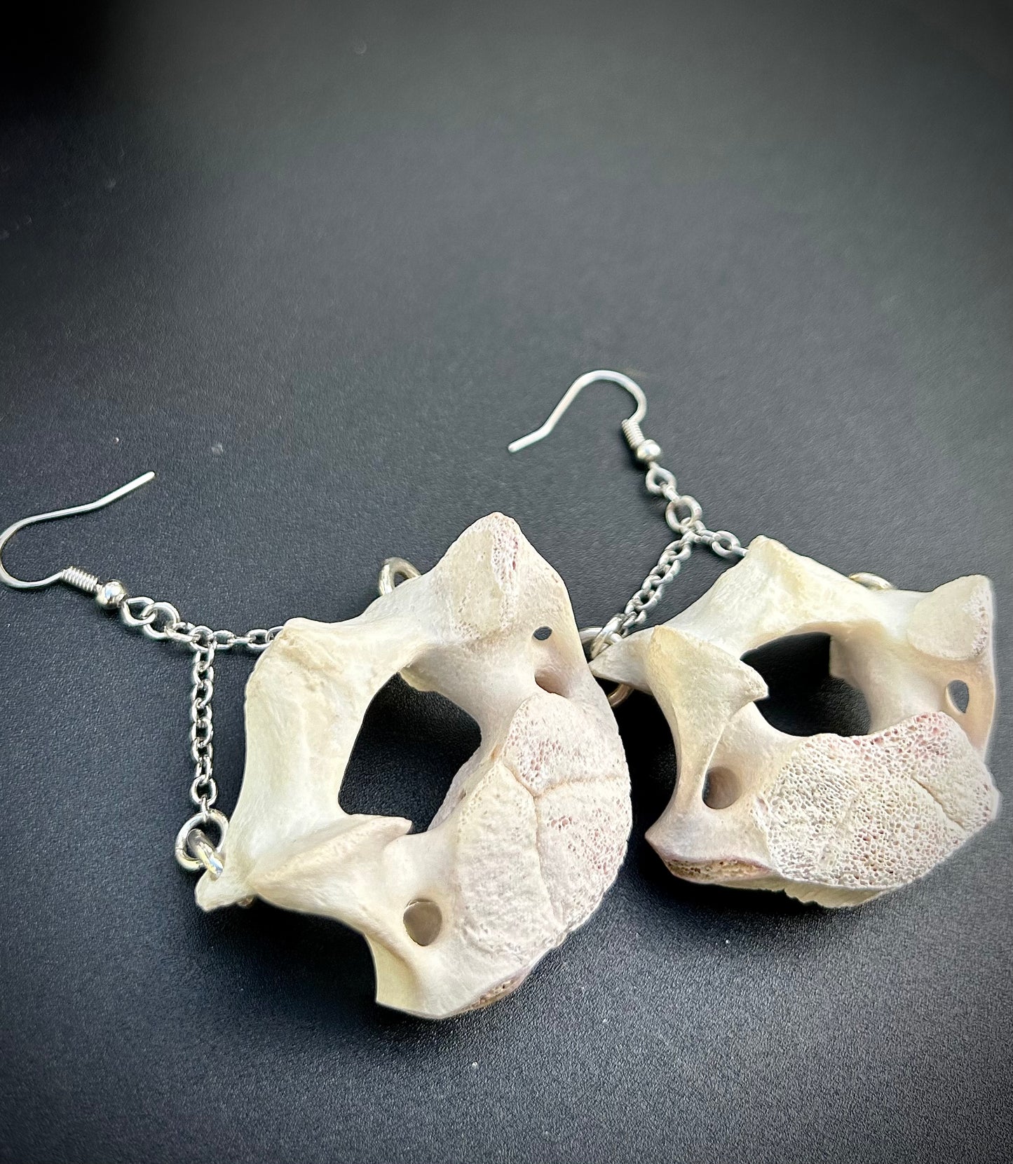 Fox Bone Earrings