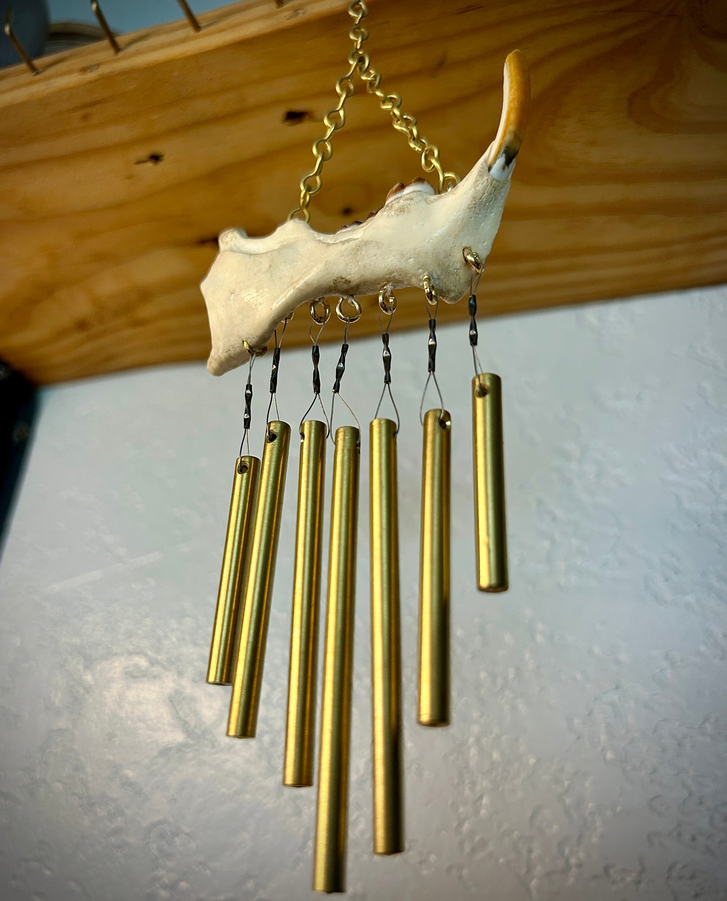 Porcupine Jaw Chime