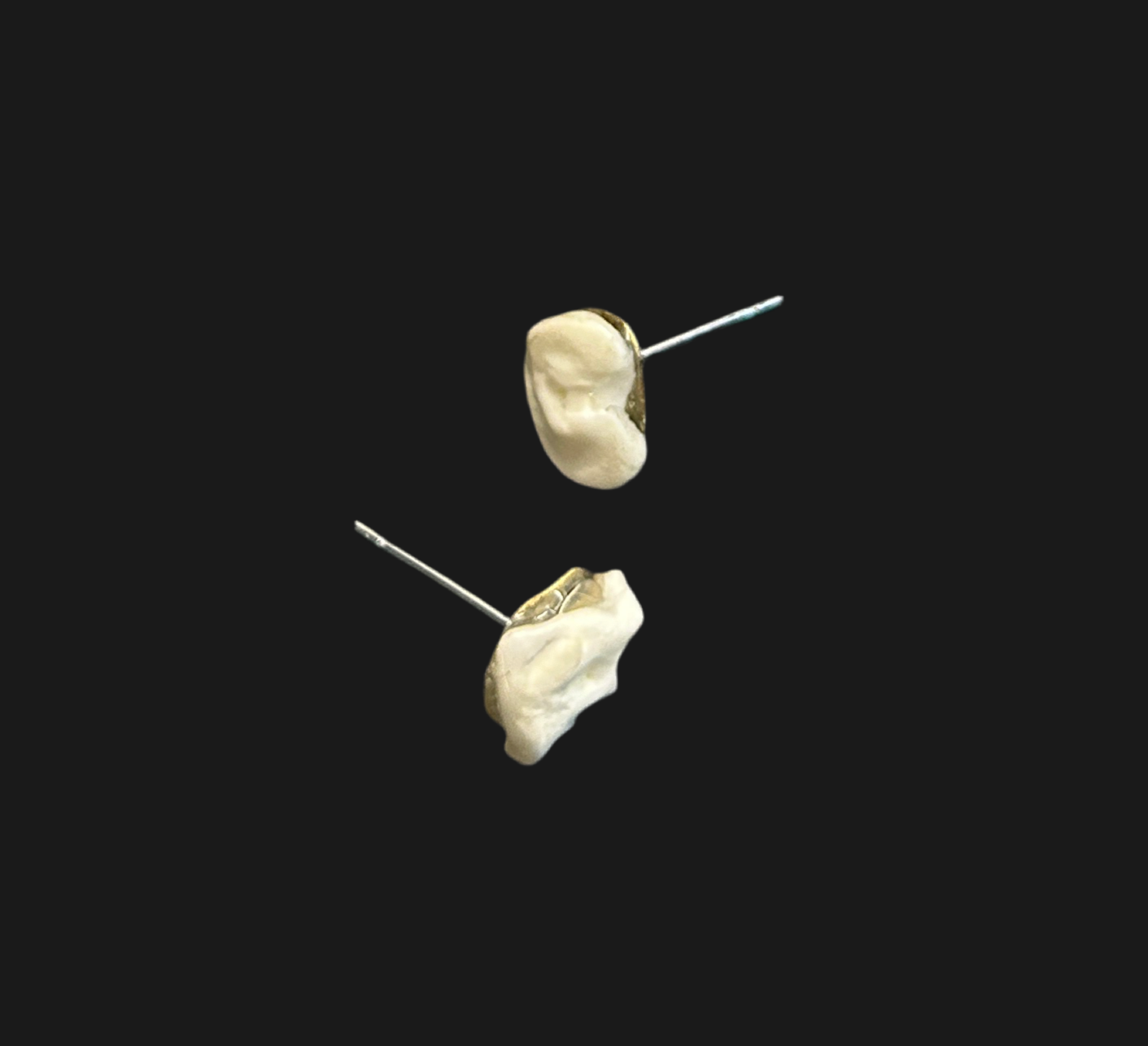 Fox Bone Studs