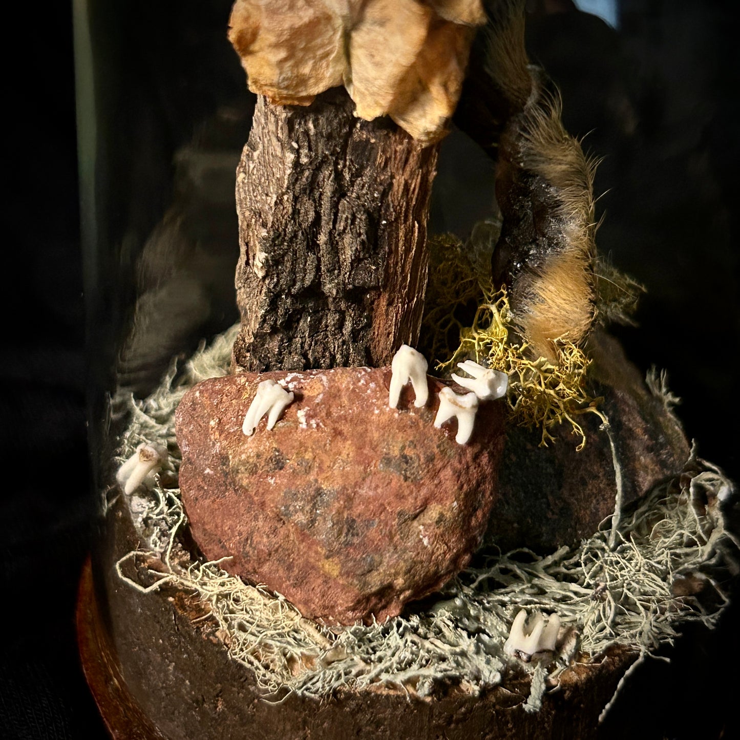 Squirrel Feet & Teeth Cloche
