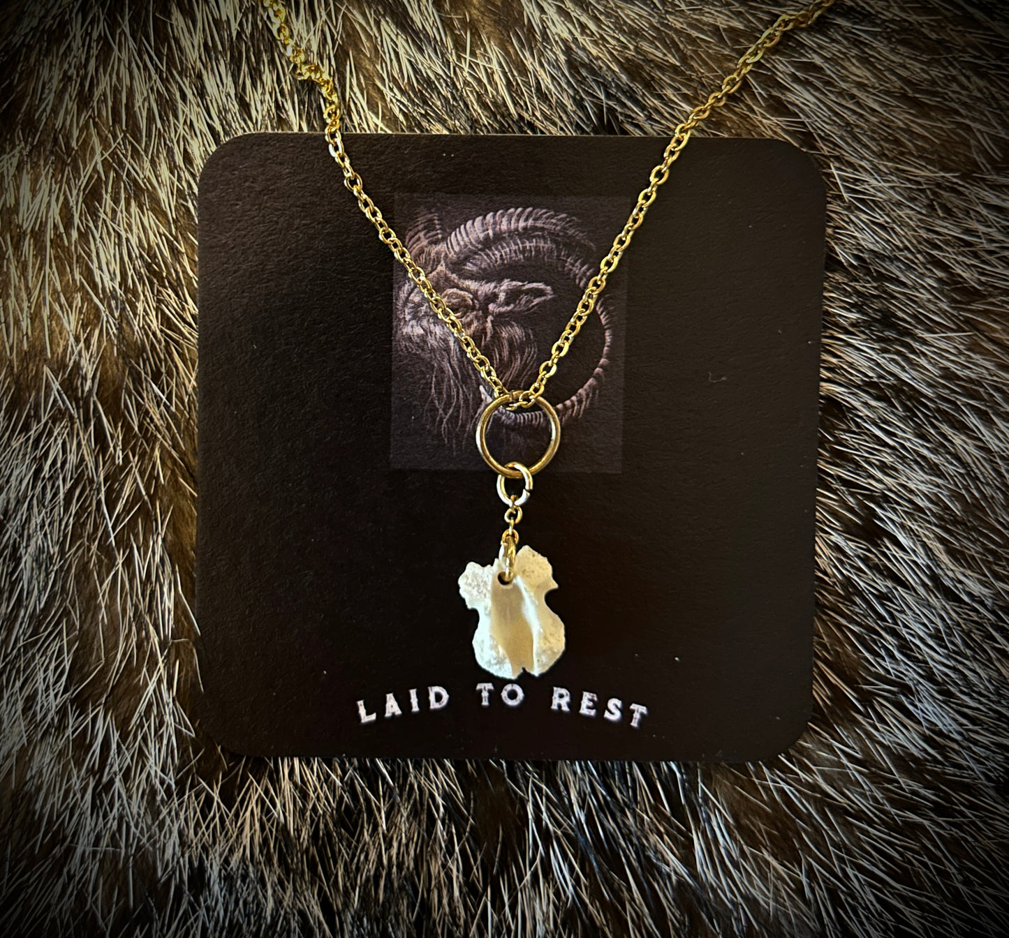 Possum vertebrae fragment pendant