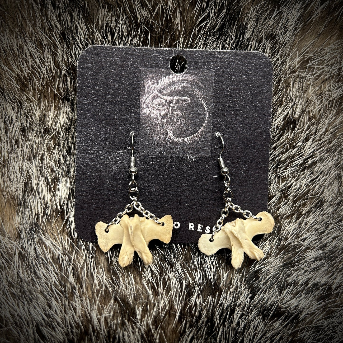 Raccoon Vertebrae Earrings